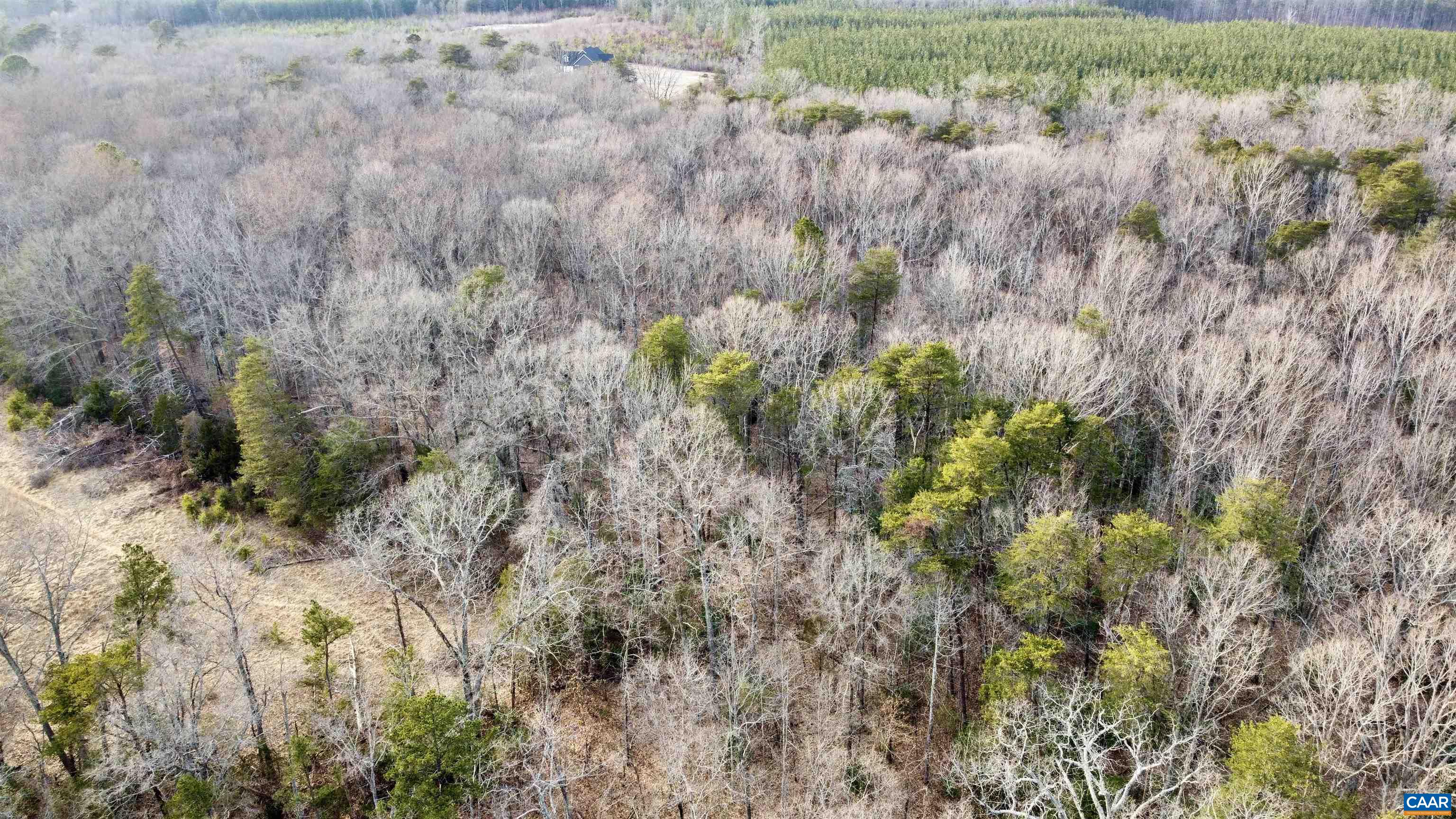 0 BEAVERDAM RD, BEAVERDAM, Virginia 23015, ,Farm,14,0 BEAVERDAM RD,680594 MLS # 680594
