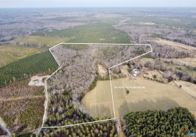 0 BEAVERDAM RD, BEAVERDAM, Virginia 23015, ,Farm,14,0 BEAVERDAM RD,680594 MLS # 680594 0 BEAVERDAM RD, BEAVERDAM, Virginia 23015, ,Farm,14,0 BEAVERDAM RD,680594 MLS # 680594