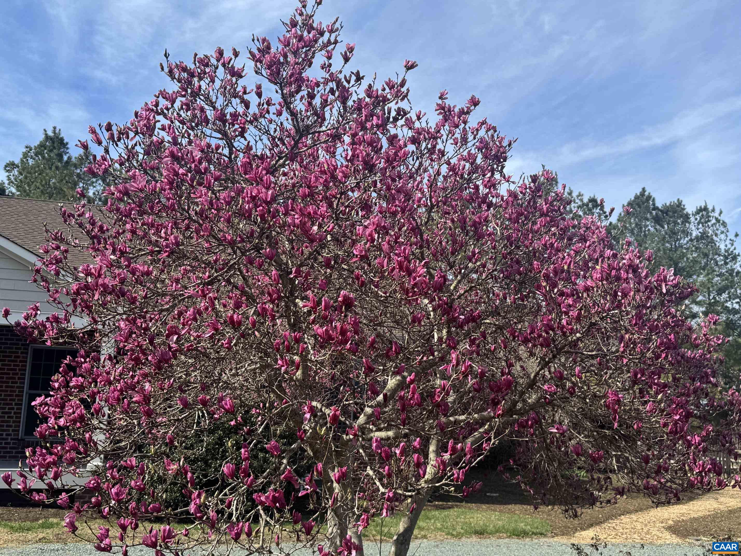 12048 LOUISA RD, GORDONSVILLE, Virginia 22942, 4 Bedrooms Bedrooms, ,4 BathroomsBathrooms,Residential,14,12048 LOUISA RD,674232 MLS # 674232 12048 LOUISA RD, GORDONSVILLE, Virginia 22942, 4 Bedrooms Bedrooms, ,4 BathroomsBathrooms,Residential,14,12048 LOUISA RD,674232 MLS # 674232