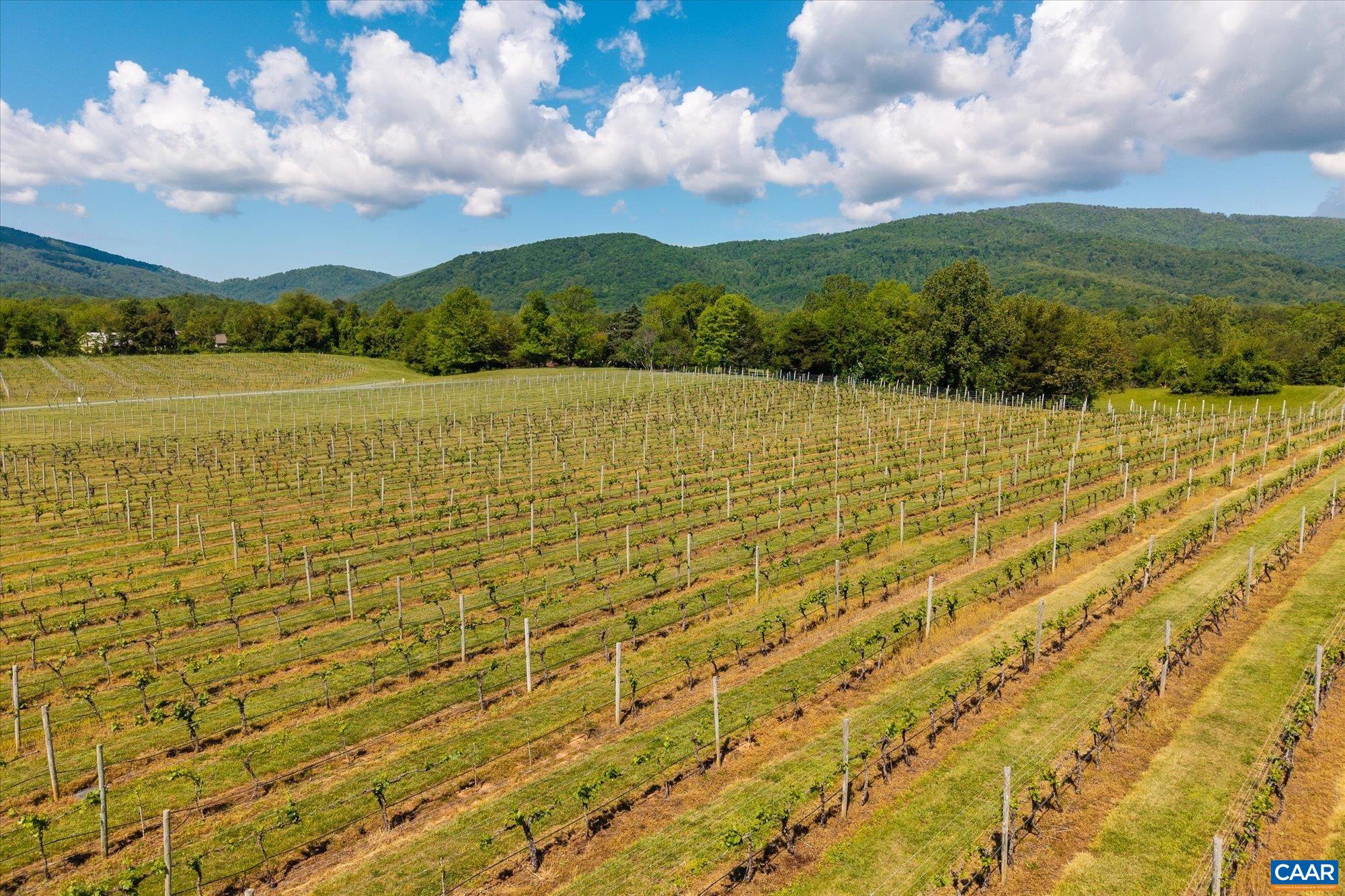 5150 BREAK HEART RD, CROZET, Virginia 22932, 4 Bedrooms Bedrooms, ,1 BathroomBathrooms,Residential,14,5150 BREAK HEART RD,677617 MLS # 677617 5150 BREAK HEART RD, CROZET, Virginia 22932, 4 Bedrooms Bedrooms, ,1 BathroomBathrooms,Residential,14,5150 BREAK HEART RD,677617 MLS # 677617