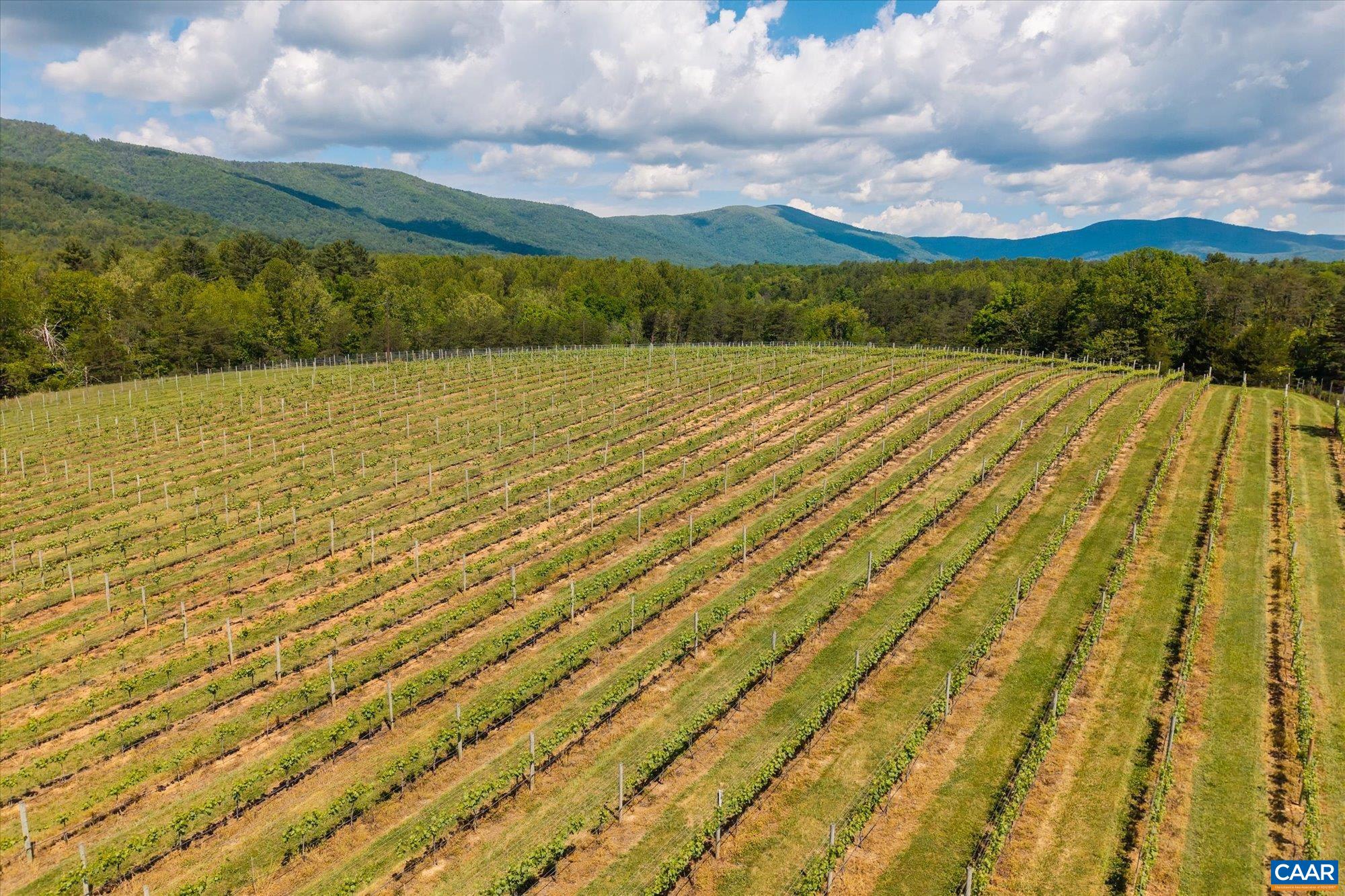 5150 BREAK HEART RD, CROZET, Virginia 22932, 4 Bedrooms Bedrooms, ,1 BathroomBathrooms,Residential,14,5150 BREAK HEART RD,677617 MLS # 677617 5150 BREAK HEART RD, CROZET, Virginia 22932, 4 Bedrooms Bedrooms, ,1 BathroomBathrooms,Residential,14,5150 BREAK HEART RD,677617 MLS # 677617