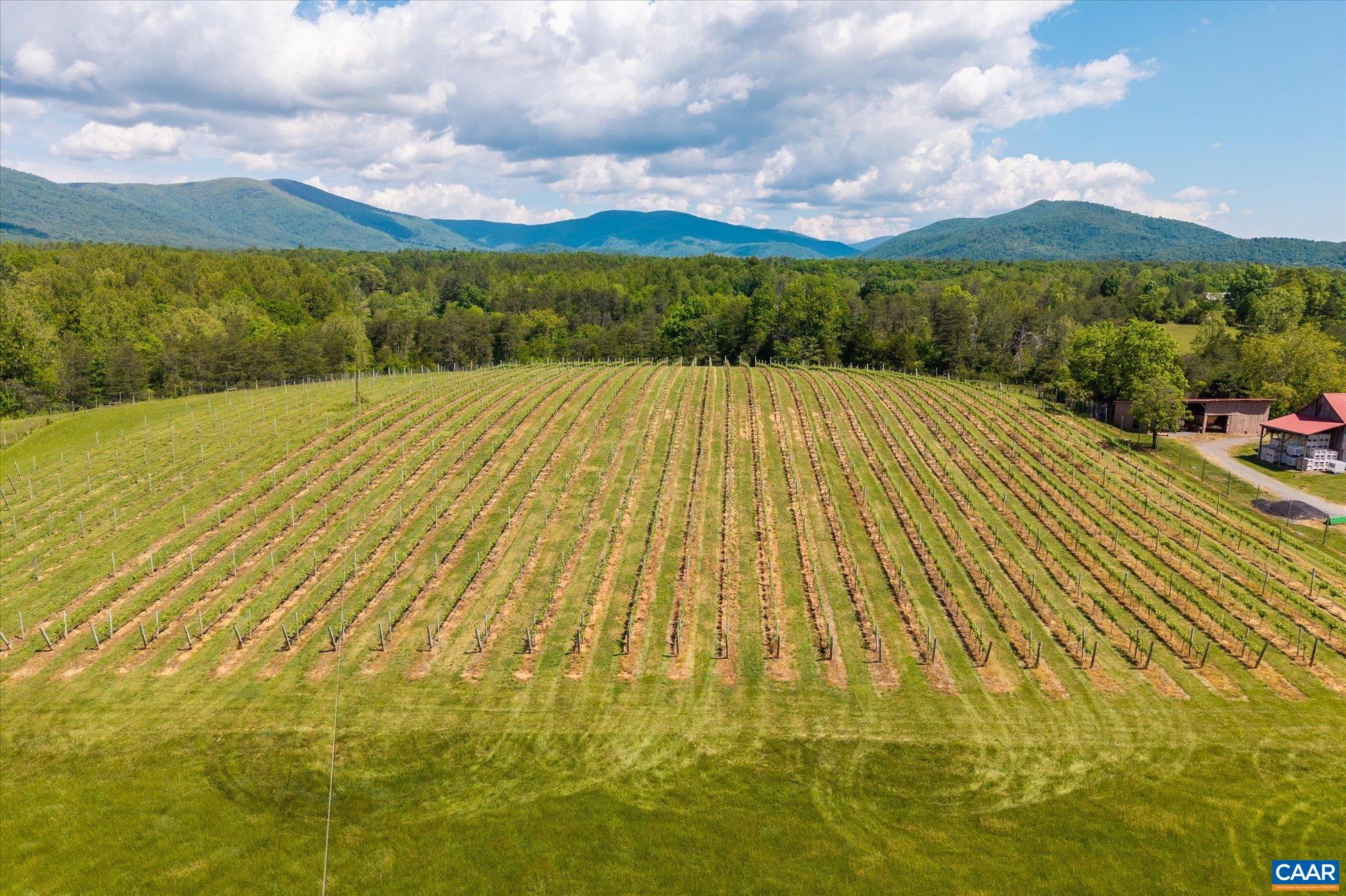 5150 BREAK HEART RD, CROZET, Virginia 22932, 4 Bedrooms Bedrooms, ,1 BathroomBathrooms,Residential,14,5150 BREAK HEART RD,677617 MLS # 677617 5150 BREAK HEART RD, CROZET, Virginia 22932, 4 Bedrooms Bedrooms, ,1 BathroomBathrooms,Residential,14,5150 BREAK HEART RD,677617 MLS # 677617