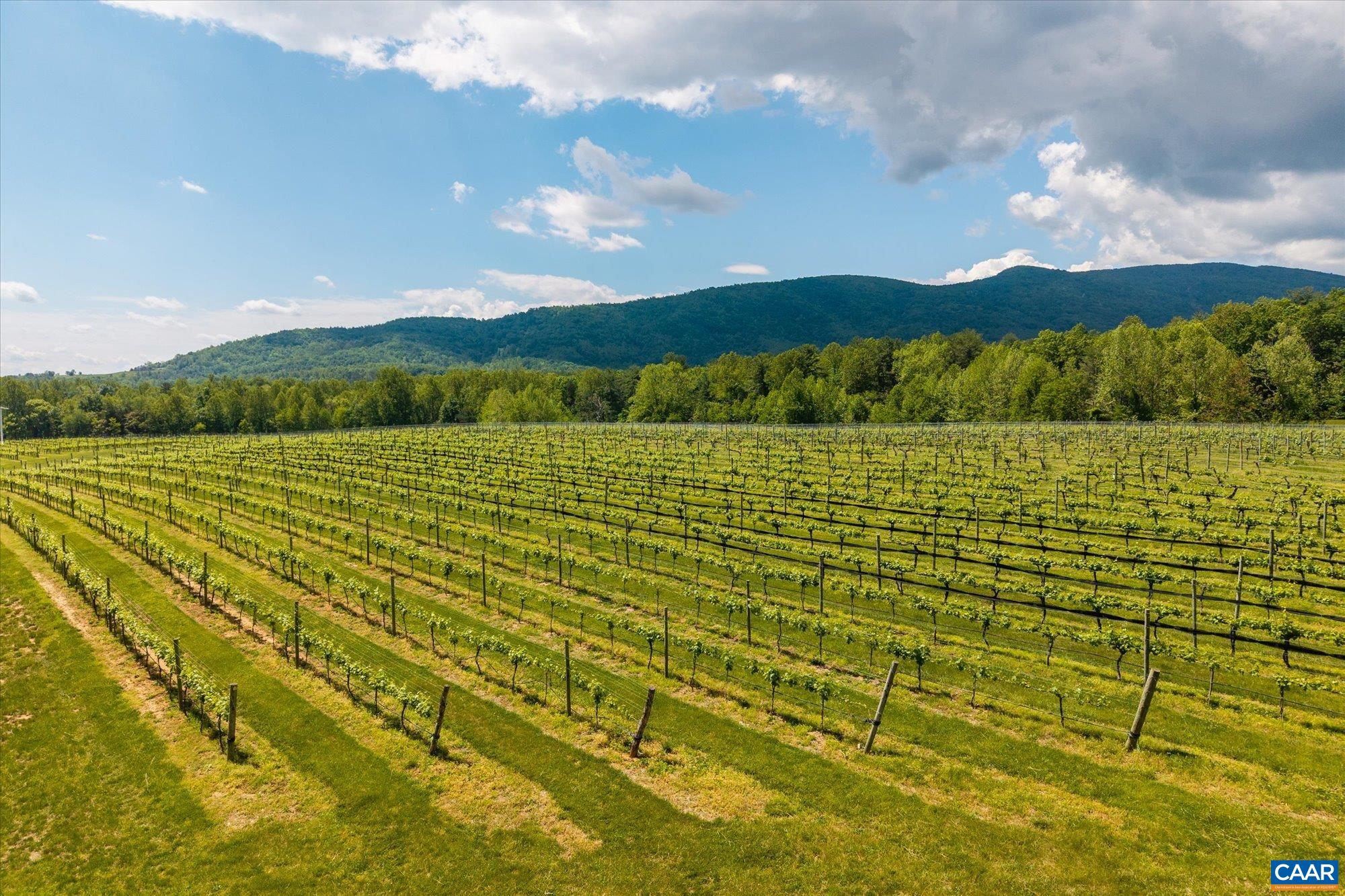 5150 BREAK HEART RD, CROZET, Virginia 22932, 4 Bedrooms Bedrooms, ,1 BathroomBathrooms,Residential,14,5150 BREAK HEART RD,677617 MLS # 677617 5150 BREAK HEART RD, CROZET, Virginia 22932, 4 Bedrooms Bedrooms, ,1 BathroomBathrooms,Residential,14,5150 BREAK HEART RD,677617 MLS # 677617