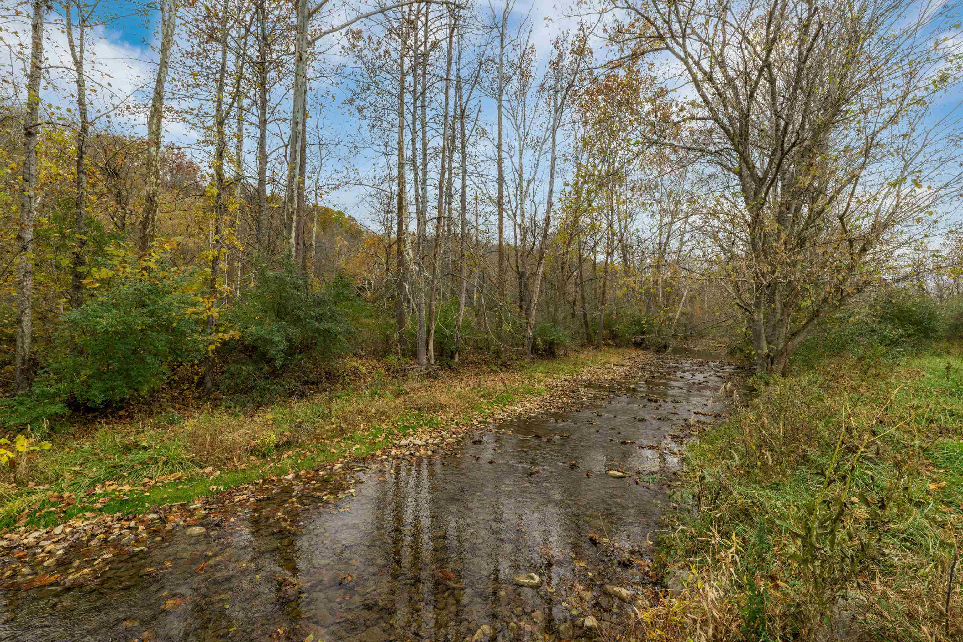3441 W MIDLAND TRL, LEXINGTON, Virginia 24450, 2 Bedrooms Bedrooms, ,1 BathroomBathrooms,Residential,14,3441 W MIDLAND TRL,677843 MLS # 677843 3441 W MIDLAND TRL, LEXINGTON, Virginia 24450, 2 Bedrooms Bedrooms, ,1 BathroomBathrooms,Residential,14,3441 W MIDLAND TRL,677843 MLS # 677843
