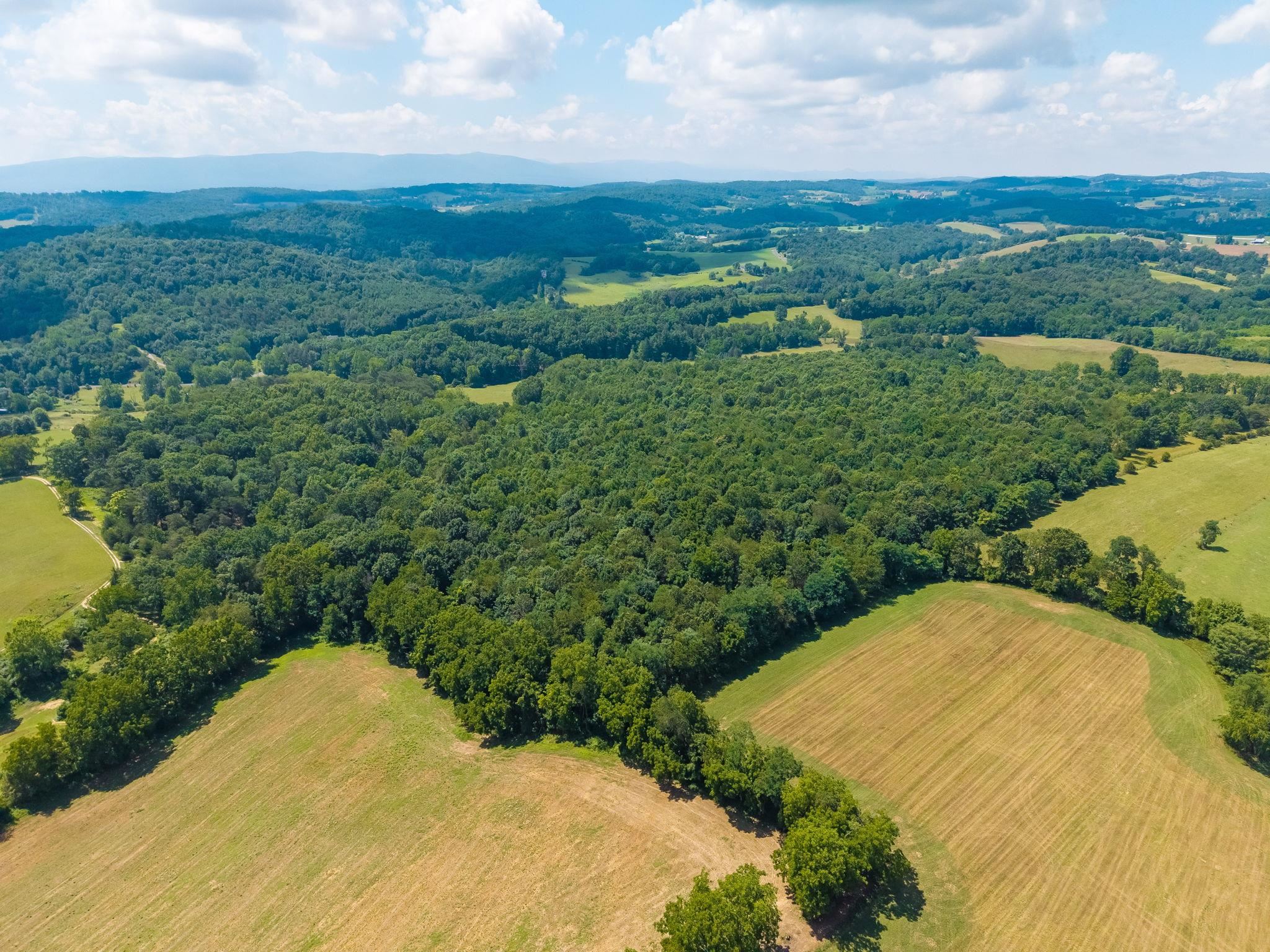 TBD MIDDLEBROOK RD, STAUNTON, Virginia 24401, ,Farm,14,TBD MIDDLEBROOK RD,679486 MLS # 679486 TBD MIDDLEBROOK RD, STAUNTON, Virginia 24401, ,Farm,14,TBD MIDDLEBROOK RD,679486 MLS # 679486