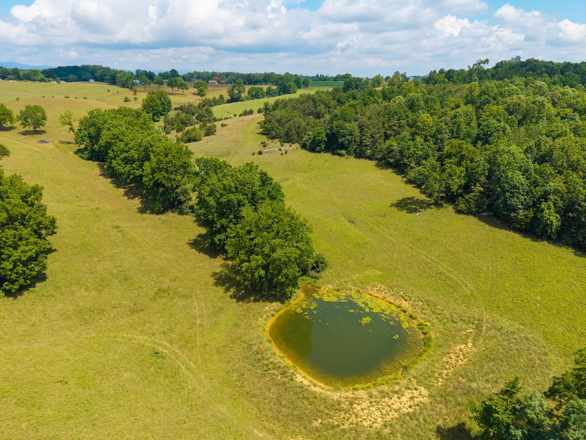 TBD MIDDLEBROOK RD, STAUNTON, Virginia 24401, ,Farm,14,TBD MIDDLEBROOK RD,679486 MLS # 679486 TBD MIDDLEBROOK RD, STAUNTON, Virginia 24401, ,Farm,14,TBD MIDDLEBROOK RD,679486 MLS # 679486