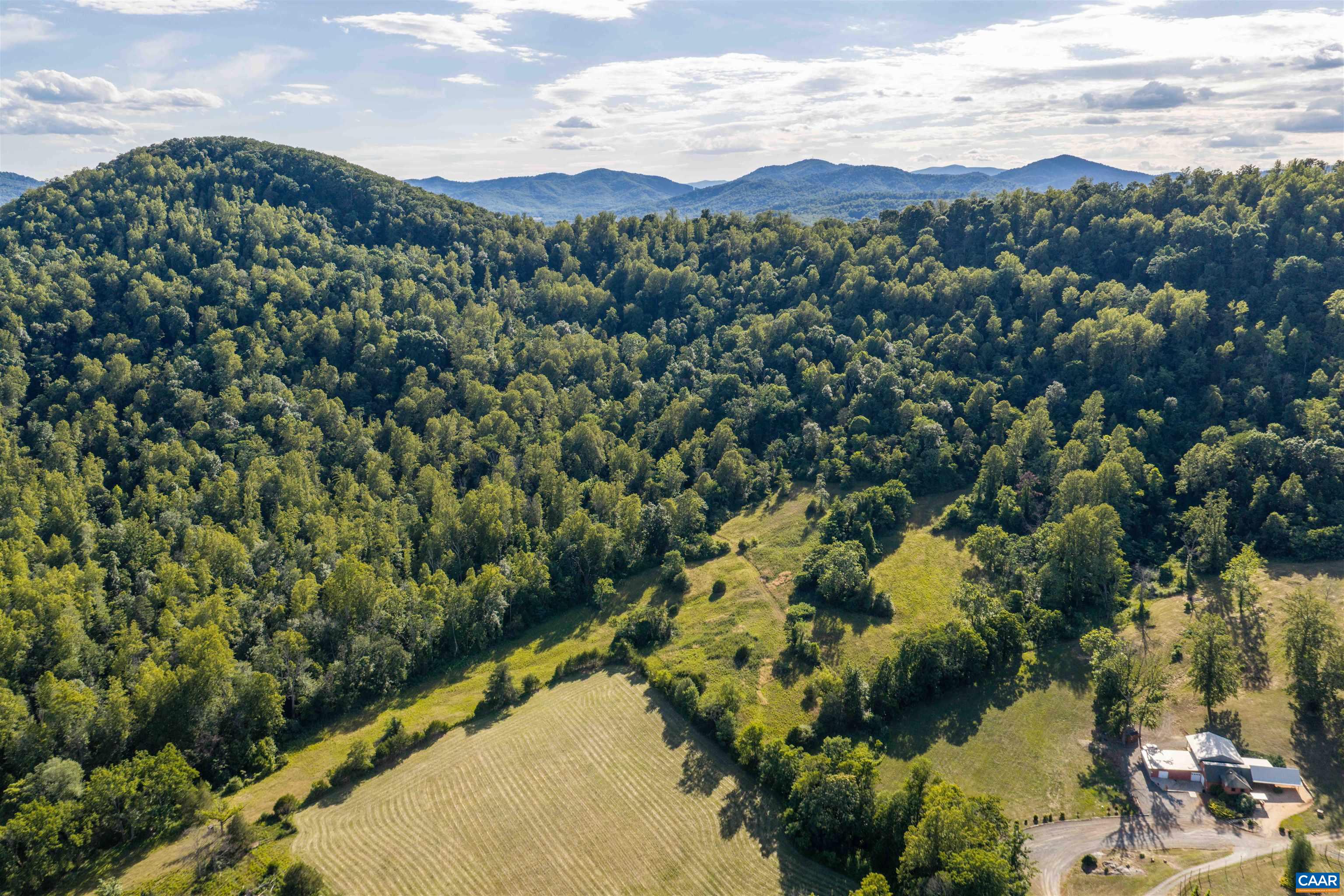 3613 WALNUT BRANCH LN, NORTH GARDEN, Virginia 22959, 1 Bedroom Bedrooms, ,1 BathroomBathrooms,Residential,14,3613 WALNUT BRANCH LN,678864 MLS # 678864 3613 WALNUT BRANCH LN, NORTH GARDEN, Virginia 22959, 1 Bedroom Bedrooms, ,1 BathroomBathrooms,Residential,14,3613 WALNUT BRANCH LN,678864 MLS # 678864