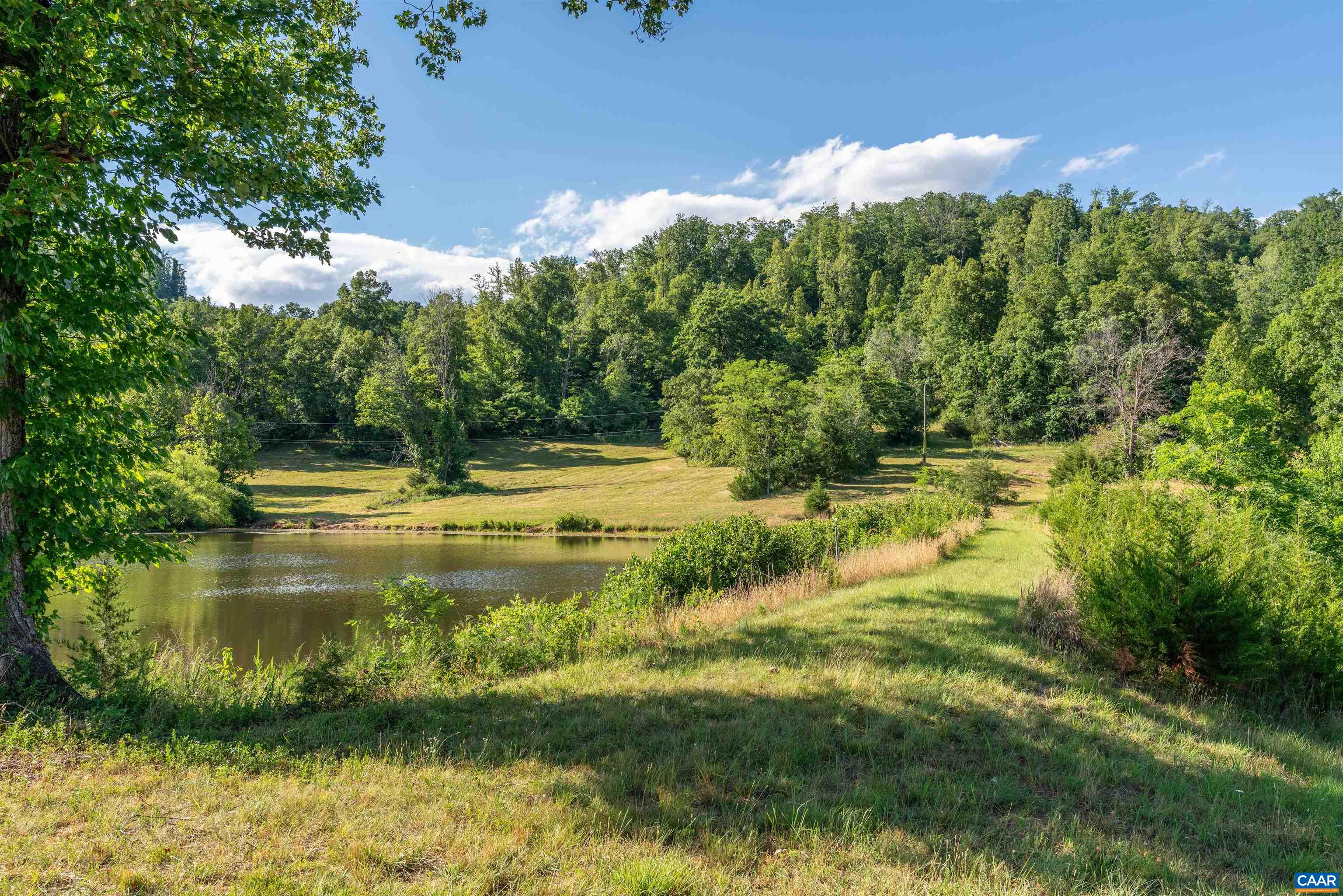 3613 WALNUT BRANCH LN, NORTH GARDEN, Virginia 22959, 1 Bedroom Bedrooms, ,1 BathroomBathrooms,Residential,14,3613 WALNUT BRANCH LN,678864 MLS # 678864 3613 WALNUT BRANCH LN, NORTH GARDEN, Virginia 22959, 1 Bedroom Bedrooms, ,1 BathroomBathrooms,Residential,14,3613 WALNUT BRANCH LN,678864 MLS # 678864