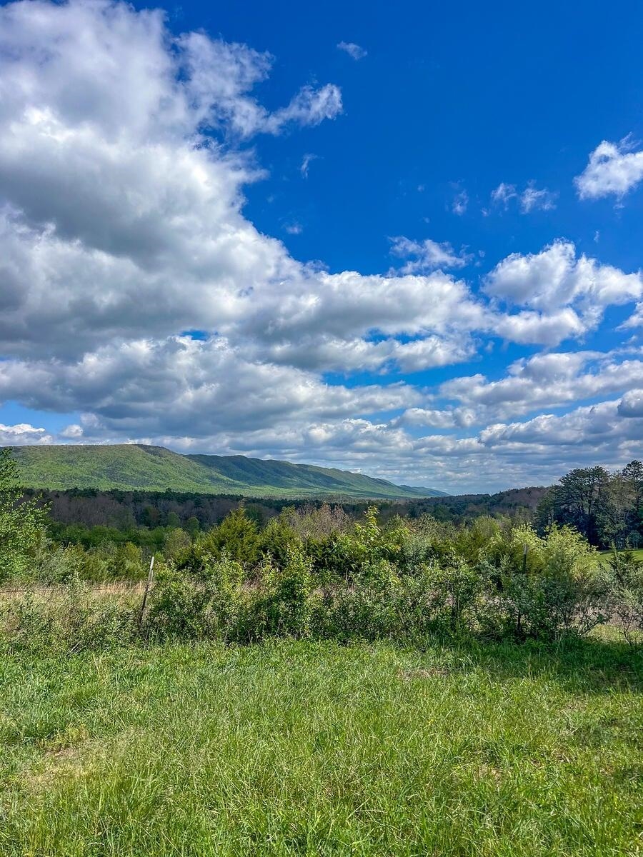 694 & 764 ROCKBRIDGE ALUM SPRINGS RD, GOSHEN, Virginia 24439, 3 Bedrooms Bedrooms, ,2 BathroomsBathrooms,Residential,14,694 & 764 ROCKBRIDGE ALUM SPRINGS RD,680967 MLS # 680967 694 & 764 ROCKBRIDGE ALUM SPRINGS RD, GOSHEN, Virginia 24439, 3 Bedrooms Bedrooms, ,2 BathroomsBathrooms,Residential,14,694 & 764 ROCKBRIDGE ALUM SPRINGS RD,680967 MLS # 680967