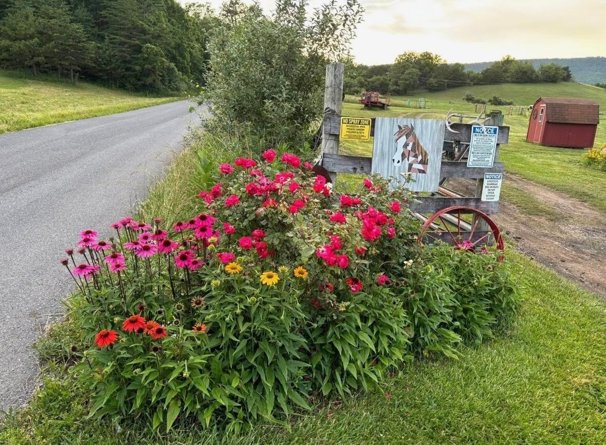 694 & 764 ROCKBRIDGE ALUM SPRINGS RD, GOSHEN, Virginia 24439, 3 Bedrooms Bedrooms, ,2 BathroomsBathrooms,Residential,14,694 & 764 ROCKBRIDGE ALUM SPRINGS RD,680967 MLS # 680967 694 & 764 ROCKBRIDGE ALUM SPRINGS RD, GOSHEN, Virginia 24439, 3 Bedrooms Bedrooms, ,2 BathroomsBathrooms,Residential,14,694 & 764 ROCKBRIDGE ALUM SPRINGS RD,680967 MLS # 680967