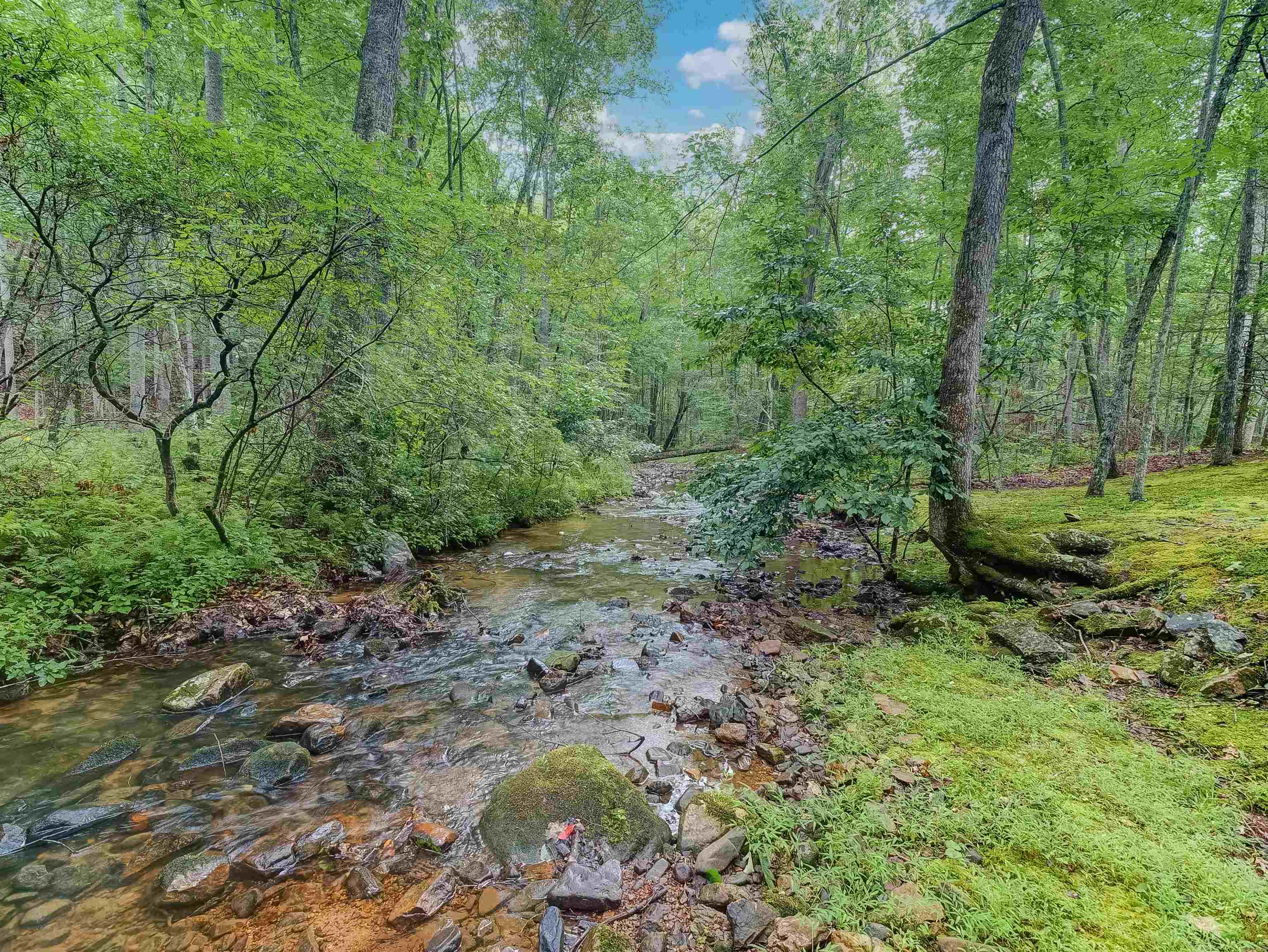 6722 DOUTHAT RD, MILLBORO, Virginia 24460, 3 Bedrooms Bedrooms, ,3 BathroomsBathrooms,Residential,14,6722 DOUTHAT RD,680975 MLS # 680975