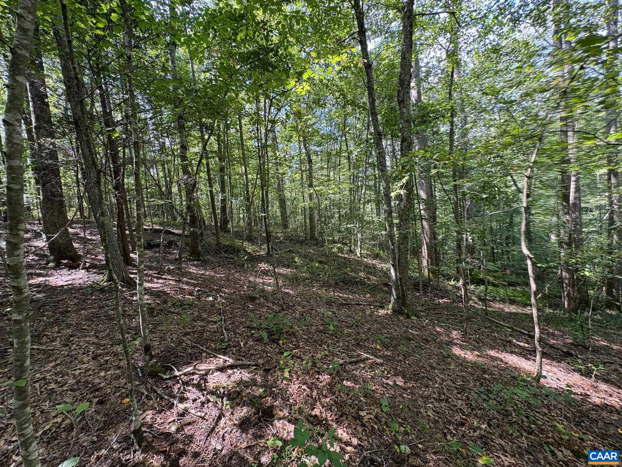 TM 24-1 MITCHELL MOUNTAIN RD, HAYWOOD, Virginia 22722, ,Land,14,TM 24-1 MITCHELL MOUNTAIN RD,669086 MLS # 669086 TM 24-1 MITCHELL MOUNTAIN RD, HAYWOOD, Virginia 22722, ,Land,14,TM 24-1 MITCHELL MOUNTAIN RD,669086 MLS # 669086