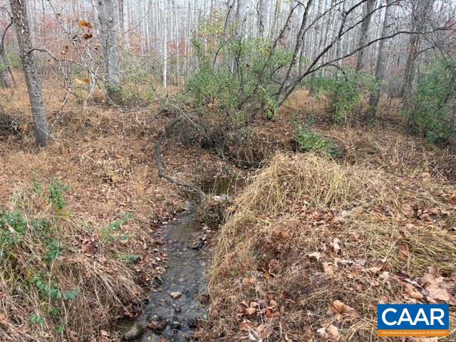 TM 24-1 MITCHELL MOUNTAIN RD, HAYWOOD, Virginia 22722, ,Land,14,TM 24-1 MITCHELL MOUNTAIN RD,669086 MLS # 669086 TM 24-1 MITCHELL MOUNTAIN RD, HAYWOOD, Virginia 22722, ,Land,14,TM 24-1 MITCHELL MOUNTAIN RD,669086 MLS # 669086