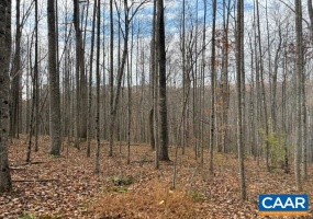 TM 24-1 MITCHELL MOUNTAIN RD, HAYWOOD, Virginia 22722, ,Land,14,TM 24-1 MITCHELL MOUNTAIN RD,669086 MLS # 669086