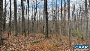 TM 24-1 MITCHELL MOUNTAIN RD, HAYWOOD, Virginia 22722, ,Land,14,TM 24-1 MITCHELL MOUNTAIN RD,669086 MLS # 669086