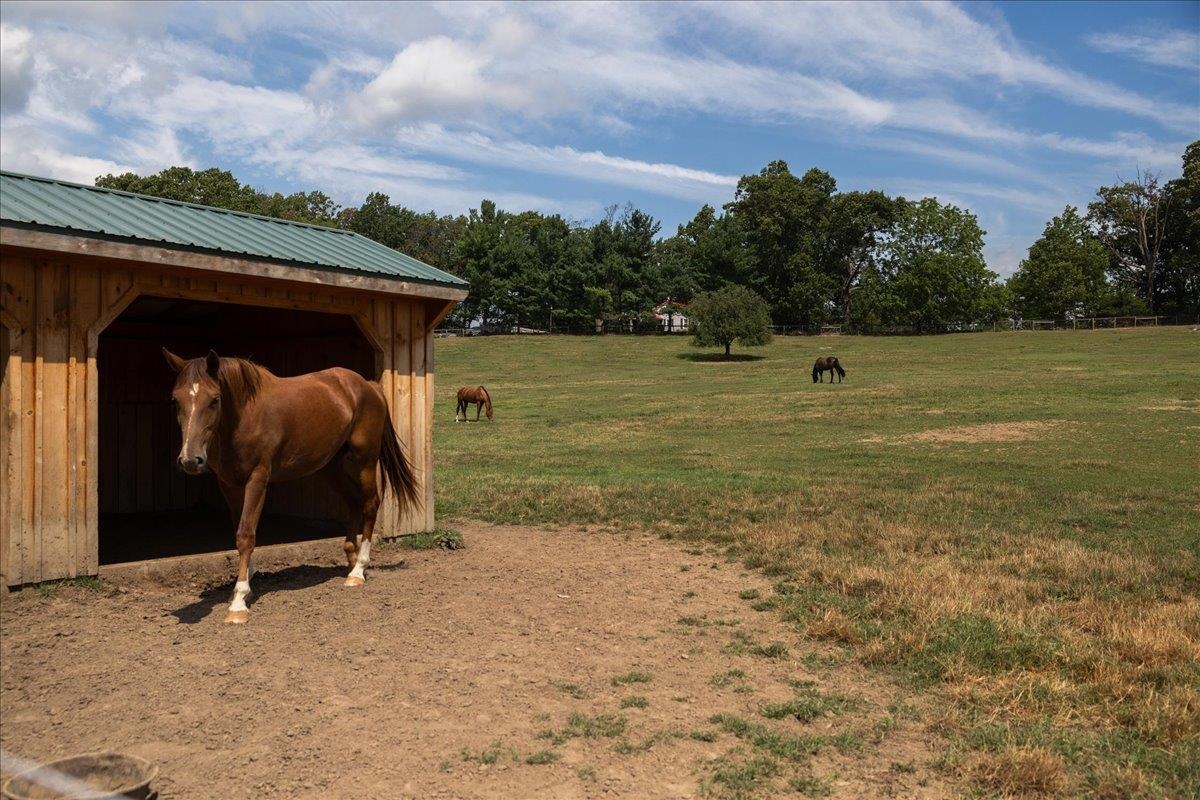 2435 SHUTTERLEE MILL RD, STAUNTON, Virginia 24401, ,Land,14,2435 SHUTTERLEE MILL RD,681119 MLS # 681119 2435 SHUTTERLEE MILL RD, STAUNTON, Virginia 24401, ,Land,14,2435 SHUTTERLEE MILL RD,681119 MLS # 681119
