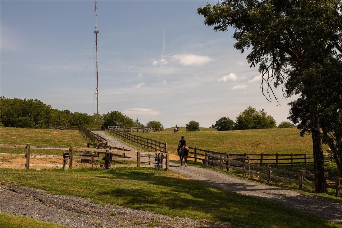 2435 SHUTTERLEE MILL RD, STAUNTON, Virginia 24401, ,Land,14,2435 SHUTTERLEE MILL RD,681119 MLS # 681119 2435 SHUTTERLEE MILL RD, STAUNTON, Virginia 24401, ,Land,14,2435 SHUTTERLEE MILL RD,681119 MLS # 681119