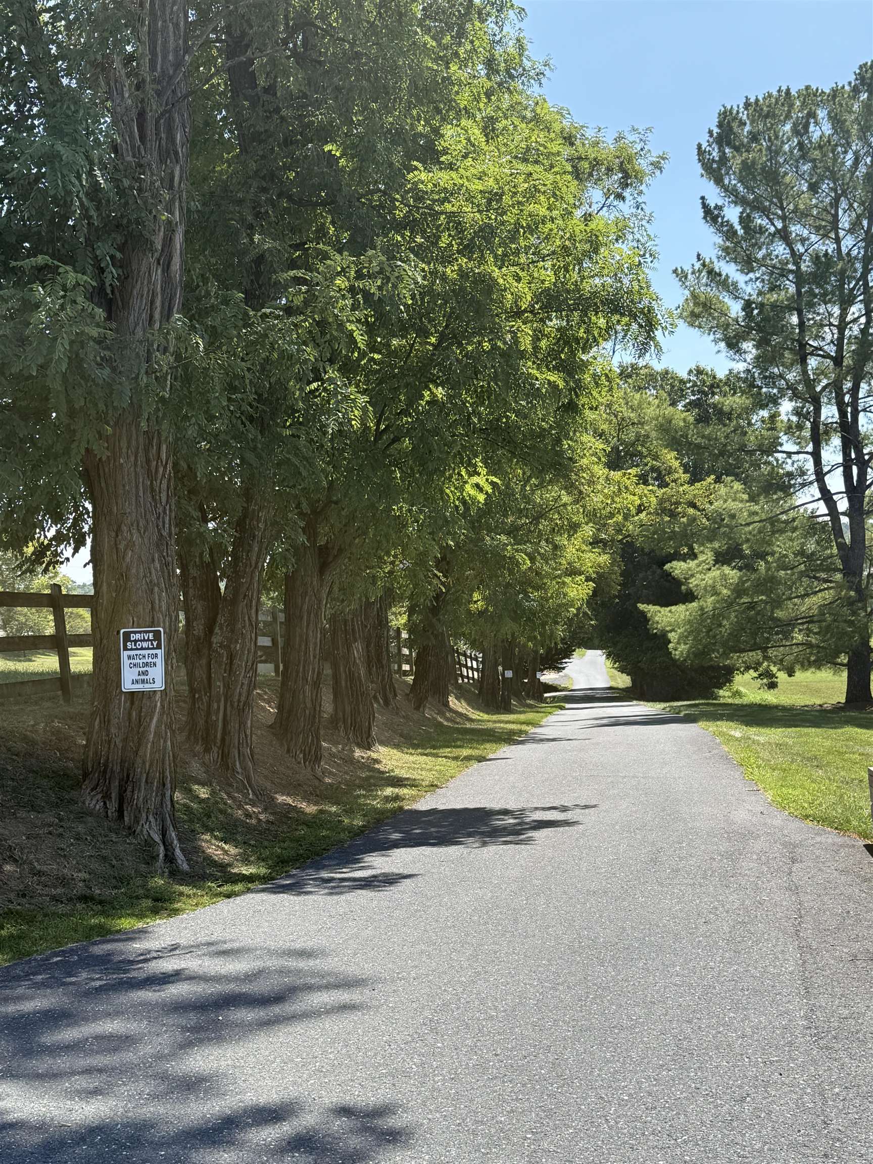 2435 SHUTTERLEE MILL RD, STAUNTON, Virginia 24401, ,Land,14,2435 SHUTTERLEE MILL RD,681119 MLS # 681119 2435 SHUTTERLEE MILL RD, STAUNTON, Virginia 24401, ,Land,14,2435 SHUTTERLEE MILL RD,681119 MLS # 681119