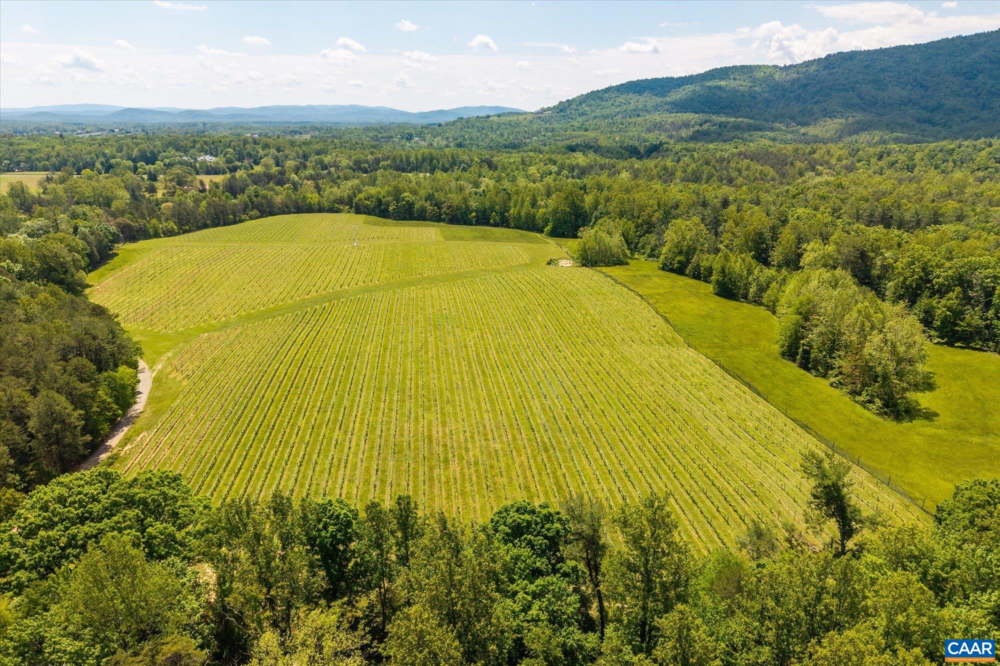 5282 SUGAR RIDGE RD, CROZET, Virginia 22932, 5 Bedrooms Bedrooms, ,4 BathroomsBathrooms,Residential,14,5282 SUGAR RIDGE RD,681132 MLS # 681132 5282 SUGAR RIDGE RD, CROZET, Virginia 22932, 5 Bedrooms Bedrooms, ,4 BathroomsBathrooms,Residential,14,5282 SUGAR RIDGE RD,681132 MLS # 681132
