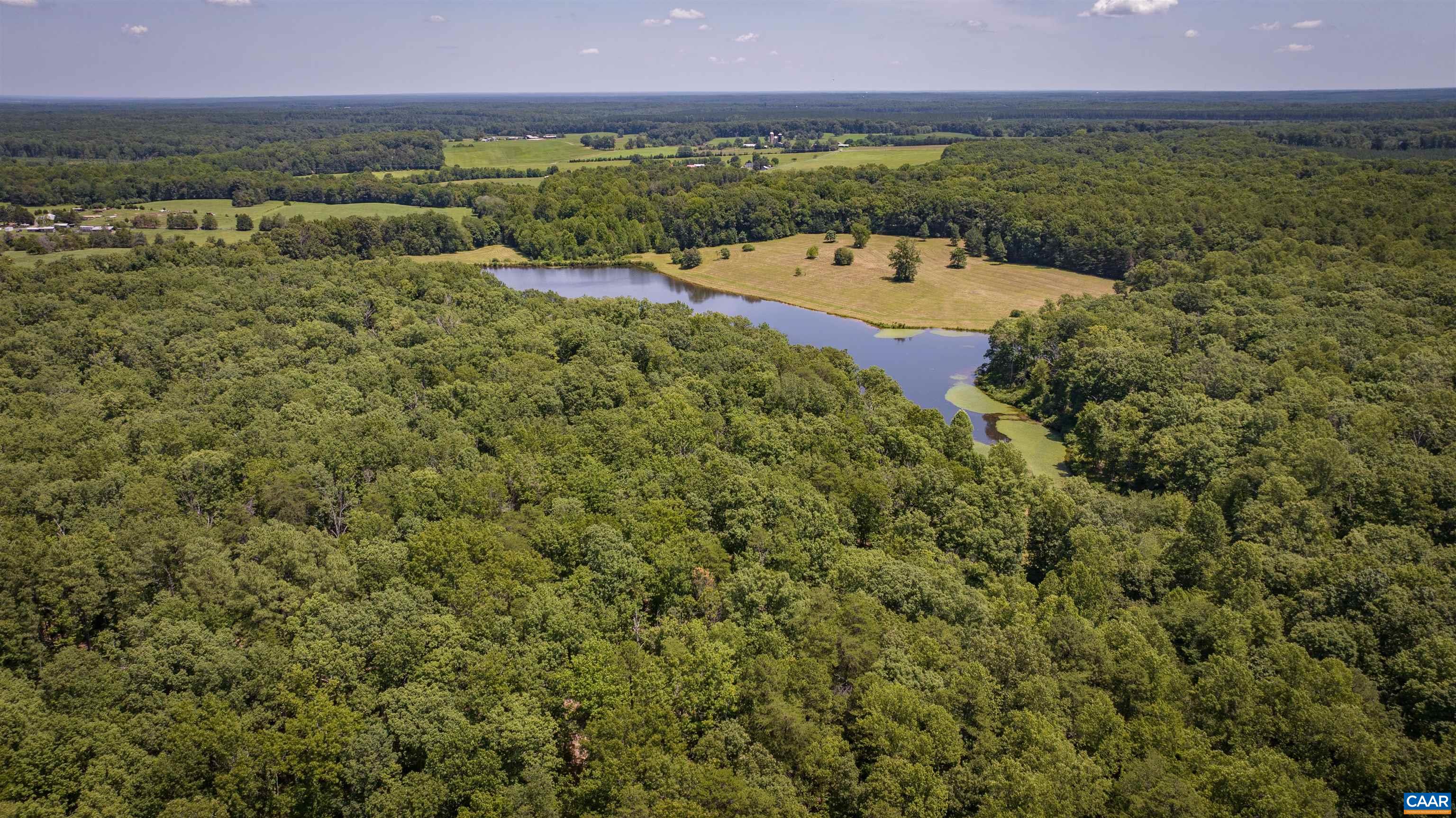 TM33-22, 22a, b&c PINE TREE RD, RHOADESVILLE, Virginia 22542, ,Farm,14,TM33-22,22a,b&c PINE TREE RD,679654 MLS # 679654 TM33-22, 22a, b&c PINE TREE RD, RHOADESVILLE, Virginia 22542, ,Farm,14,TM33-22,22a,b&c PINE TREE RD,679654 MLS # 679654