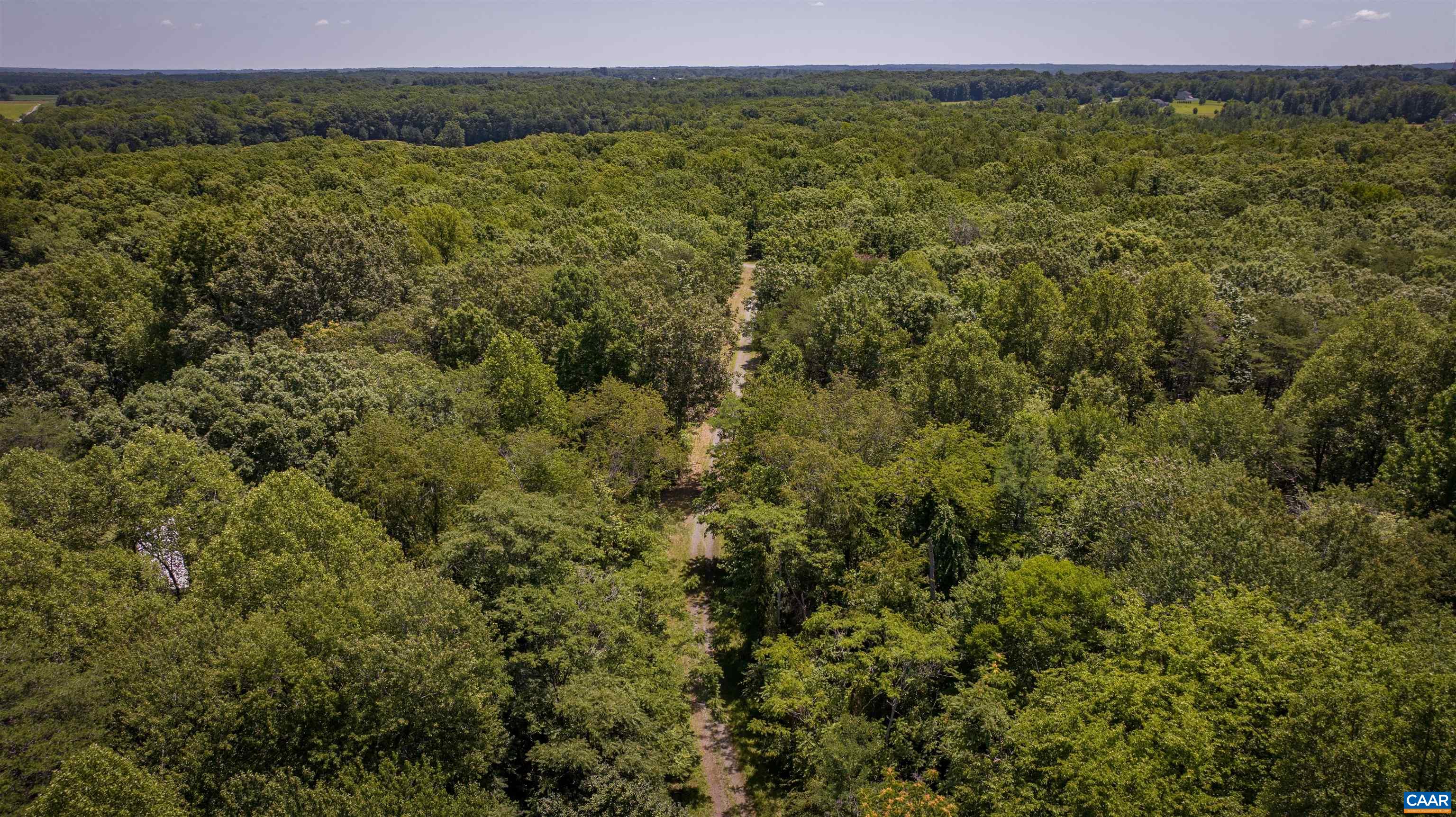 TM33-22, 22a, b&c PINE TREE RD, RHOADESVILLE, Virginia 22542, ,Farm,14,TM33-22,22a,b&c PINE TREE RD,679654 MLS # 679654 TM33-22, 22a, b&c PINE TREE RD, RHOADESVILLE, Virginia 22542, ,Farm,14,TM33-22,22a,b&c PINE TREE RD,679654 MLS # 679654