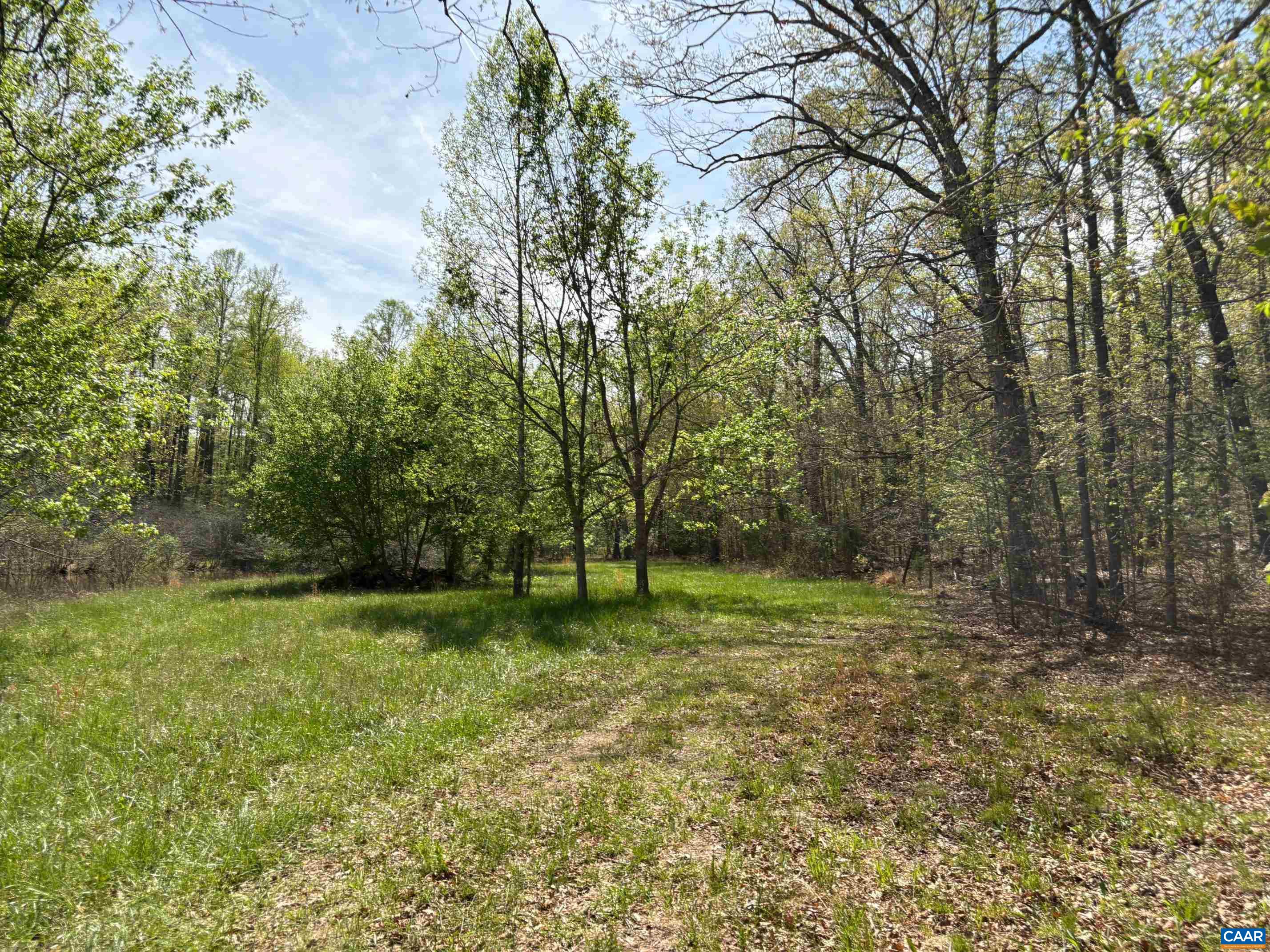 TM33-22, 22a, b&c PINE TREE RD, RHOADESVILLE, Virginia 22542, ,Farm,14,TM33-22,22a,b&c PINE TREE RD,679654 MLS # 679654 TM33-22, 22a, b&c PINE TREE RD, RHOADESVILLE, Virginia 22542, ,Farm,14,TM33-22,22a,b&c PINE TREE RD,679654 MLS # 679654
