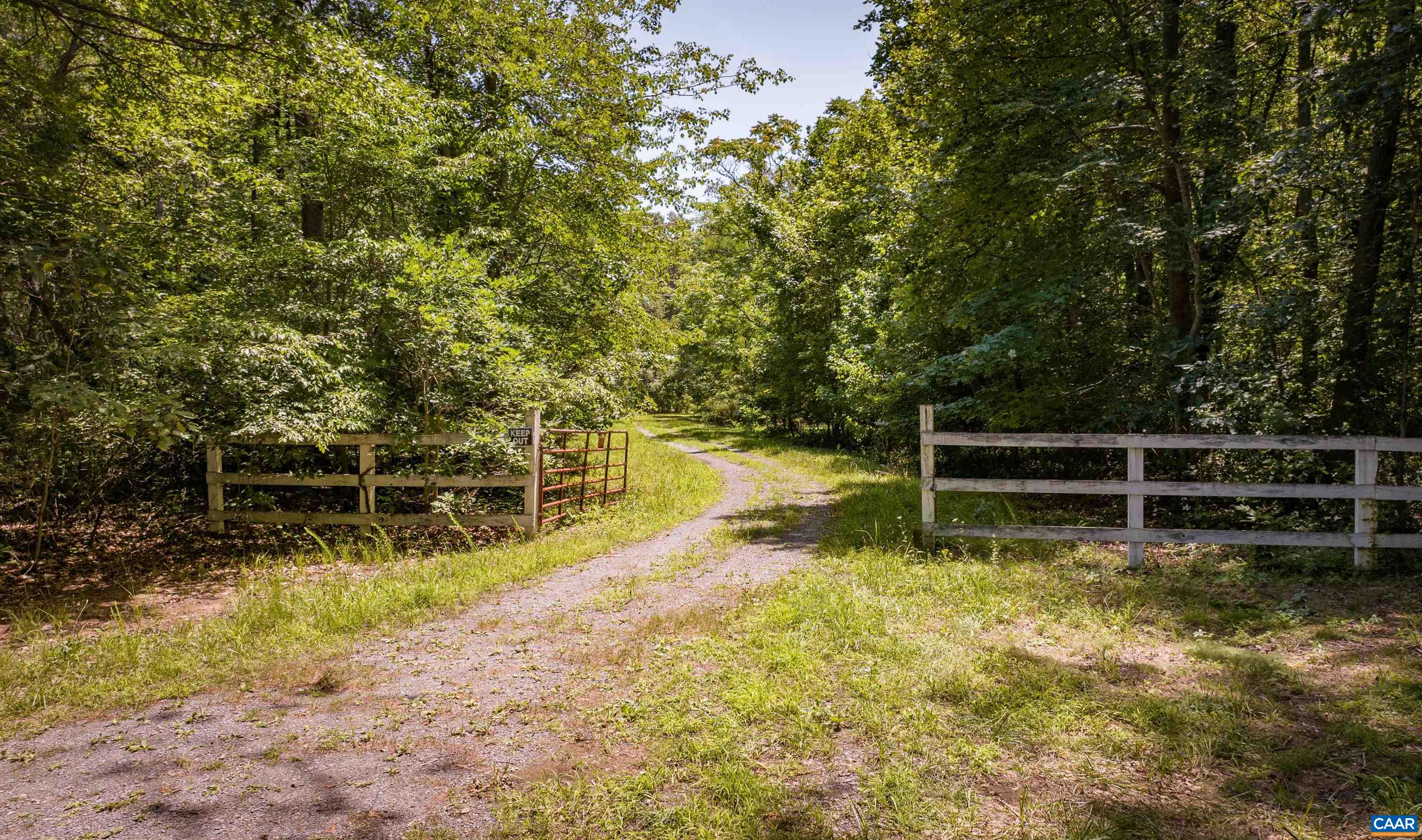 TM33-22, 22a, b&c PINE TREE RD, RHOADESVILLE, Virginia 22542, ,Farm,14,TM33-22,22a,b&c PINE TREE RD,679654 MLS # 679654 TM33-22, 22a, b&c PINE TREE RD, RHOADESVILLE, Virginia 22542, ,Farm,14,TM33-22,22a,b&c PINE TREE RD,679654 MLS # 679654