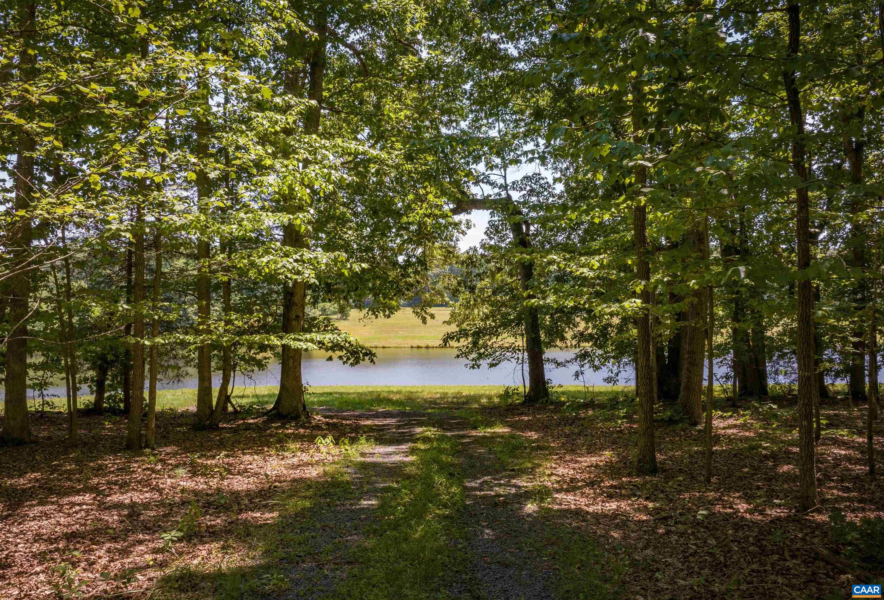 TM33-22, 22a, b&c PINE TREE RD, RHOADESVILLE, Virginia 22542, ,Farm,14,TM33-22,22a,b&c PINE TREE RD,679654 MLS # 679654 TM33-22, 22a, b&c PINE TREE RD, RHOADESVILLE, Virginia 22542, ,Farm,14,TM33-22,22a,b&c PINE TREE RD,679654 MLS # 679654