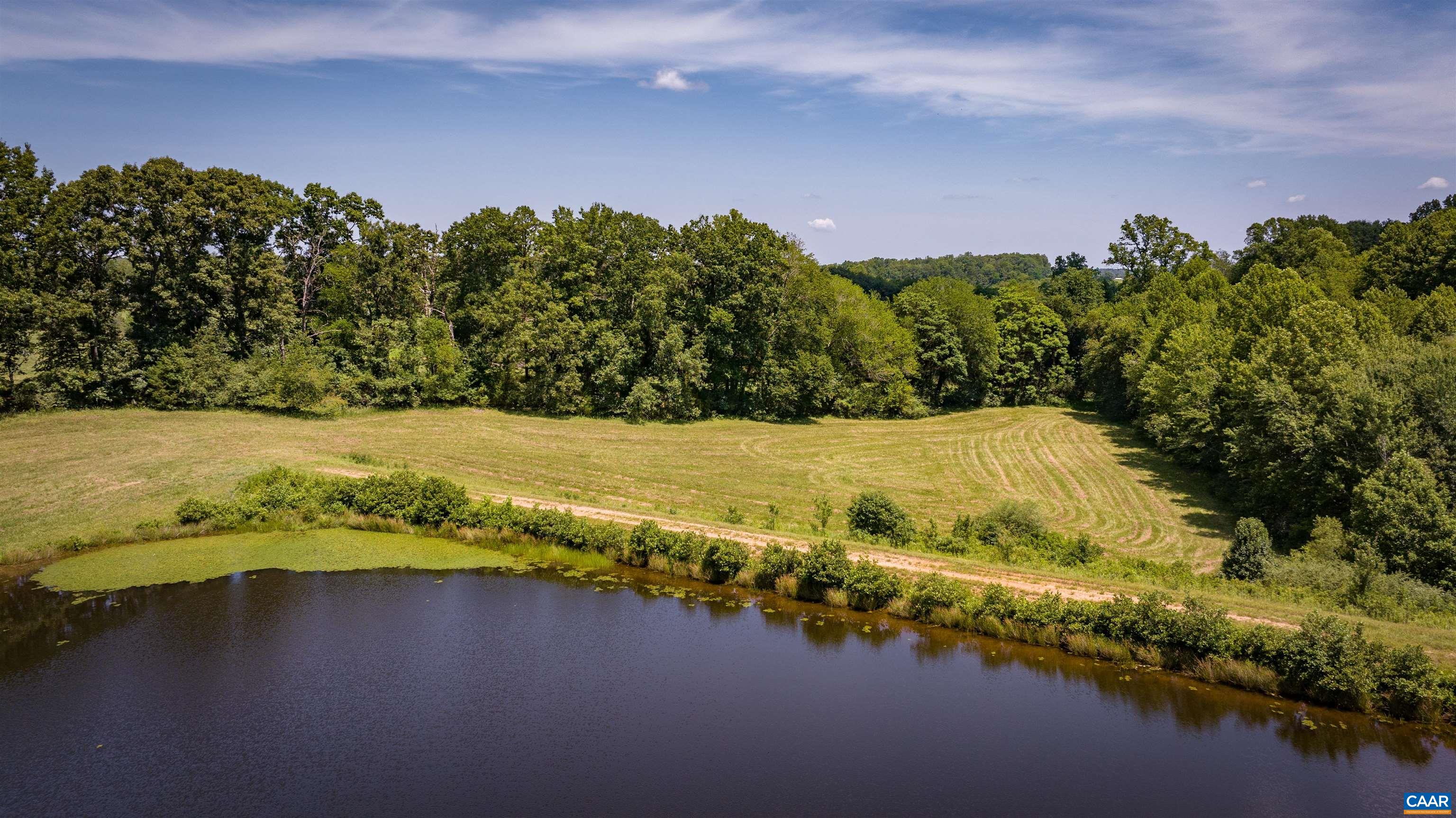 TM33-22, 22a, b&c PINE TREE RD, RHOADESVILLE, Virginia 22542, ,Farm,14,TM33-22,22a,b&c PINE TREE RD,679654 MLS # 679654 TM33-22, 22a, b&c PINE TREE RD, RHOADESVILLE, Virginia 22542, ,Farm,14,TM33-22,22a,b&c PINE TREE RD,679654 MLS # 679654