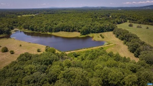 TM33-22, 22a, b&amp;c PINE TREE RD, RHOADESVILLE, Virginia 22542, ,Farm,14,TM33-22,22a,b&amp;c PINE TREE RD,679654 MLS # 679654