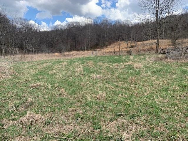 TBD BIG VALLEY RD, MONTEREY, Virginia 24465, ,Farm,14,TBD BIG VALLEY RD,675342 MLS # 675342 TBD BIG VALLEY RD, MONTEREY, Virginia 24465, ,Farm,14,TBD BIG VALLEY RD,675342 MLS # 675342