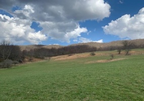 TBD BIG VALLEY RD, MONTEREY, Virginia 24465, ,Farm,14,TBD BIG VALLEY RD,675342 MLS # 675342