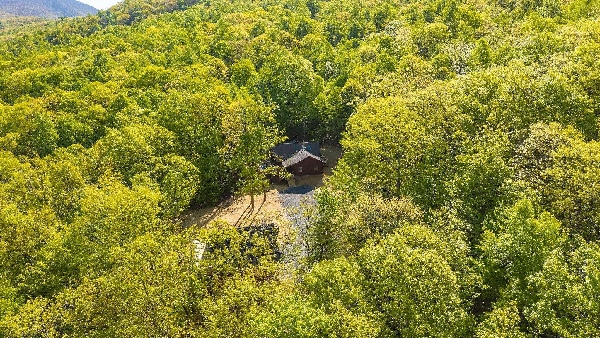 910 LOVE RD, LYNDHURST, Virginia 22952, 4 Bedrooms Bedrooms, ,3 BathroomsBathrooms,Residential,14,910 LOVE RD,676626 MLS # 676626 910 LOVE RD, LYNDHURST, Virginia 22952, 4 Bedrooms Bedrooms, ,3 BathroomsBathrooms,Residential,14,910 LOVE RD,676626 MLS # 676626