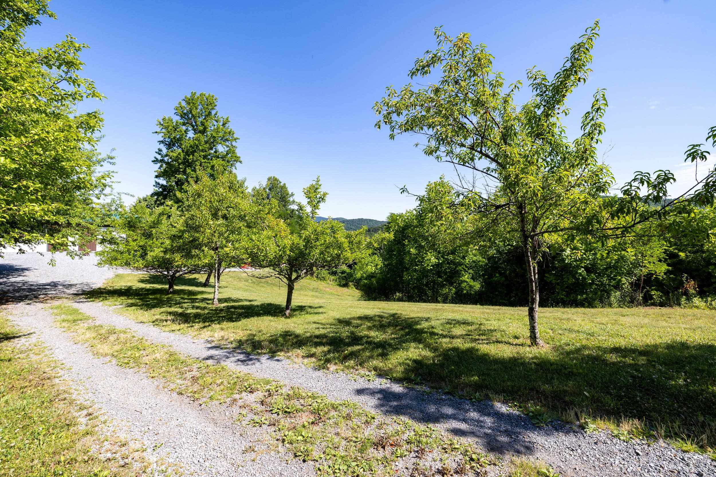 5855 JOLLETT RD, ELKTON, Virginia 22827, 1 Bedroom Bedrooms, ,1 BathroomBathrooms,Residential,14,5855 JOLLETT RD,679053 MLS # 679053 5855 JOLLETT RD, ELKTON, Virginia 22827, 1 Bedroom Bedrooms, ,1 BathroomBathrooms,Residential,14,5855 JOLLETT RD,679053 MLS # 679053