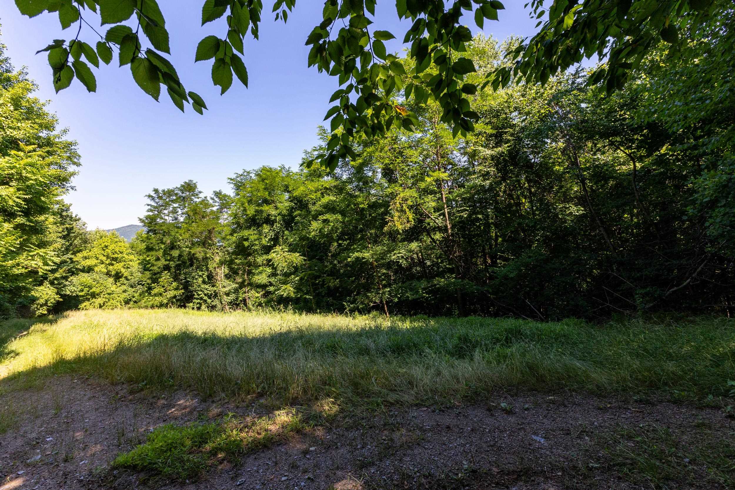 5855 JOLLETT RD, ELKTON, Virginia 22827, 1 Bedroom Bedrooms, ,1 BathroomBathrooms,Residential,14,5855 JOLLETT RD,679053 MLS # 679053 5855 JOLLETT RD, ELKTON, Virginia 22827, 1 Bedroom Bedrooms, ,1 BathroomBathrooms,Residential,14,5855 JOLLETT RD,679053 MLS # 679053