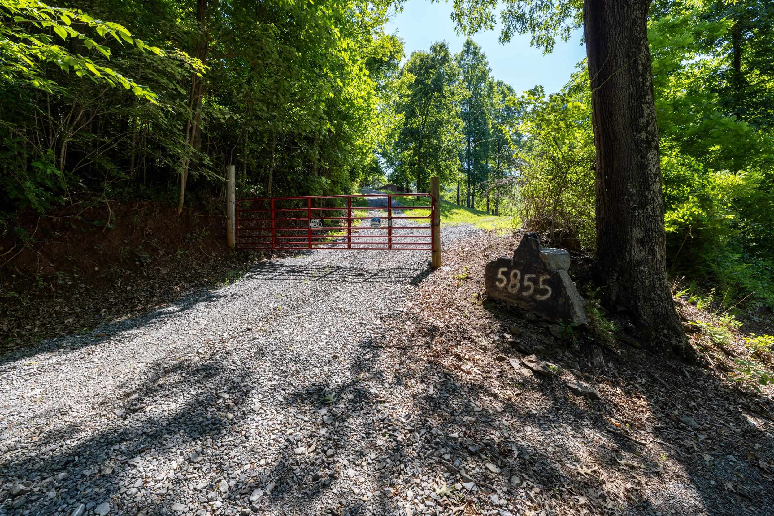 5855 JOLLETT RD, ELKTON, Virginia 22827, 1 Bedroom Bedrooms, ,1 BathroomBathrooms,Residential,14,5855 JOLLETT RD,679053 MLS # 679053 5855 JOLLETT RD, ELKTON, Virginia 22827, 1 Bedroom Bedrooms, ,1 BathroomBathrooms,Residential,14,5855 JOLLETT RD,679053 MLS # 679053