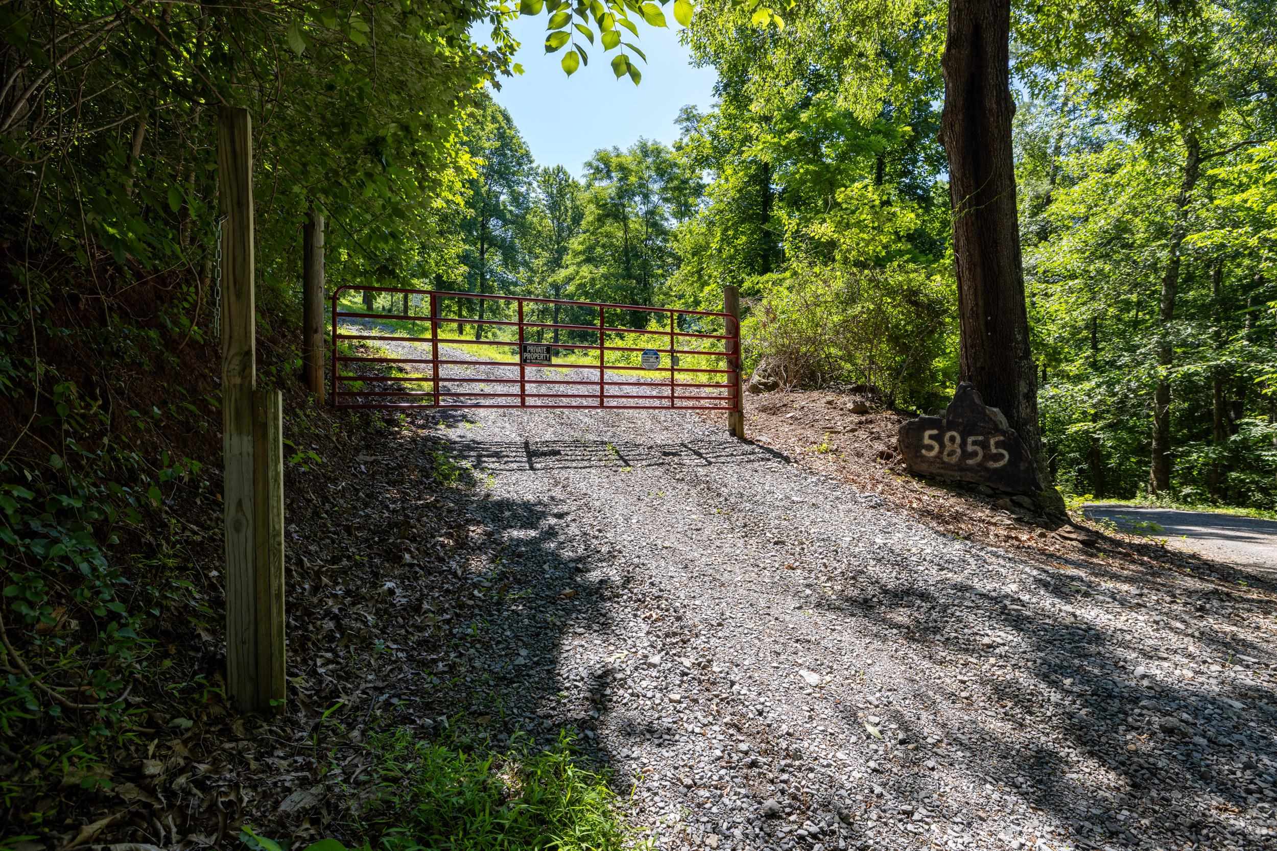 5855 JOLLETT RD, ELKTON, Virginia 22827, 1 Bedroom Bedrooms, ,1 BathroomBathrooms,Residential,14,5855 JOLLETT RD,679053 MLS # 679053 5855 JOLLETT RD, ELKTON, Virginia 22827, 1 Bedroom Bedrooms, ,1 BathroomBathrooms,Residential,14,5855 JOLLETT RD,679053 MLS # 679053