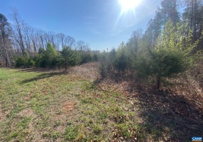 000 ALDRIDGE LN, SCOTTSVILLE, Virginia 24590, ,Farm,14,000 ALDRIDGE LN,675317 MLS # 675317