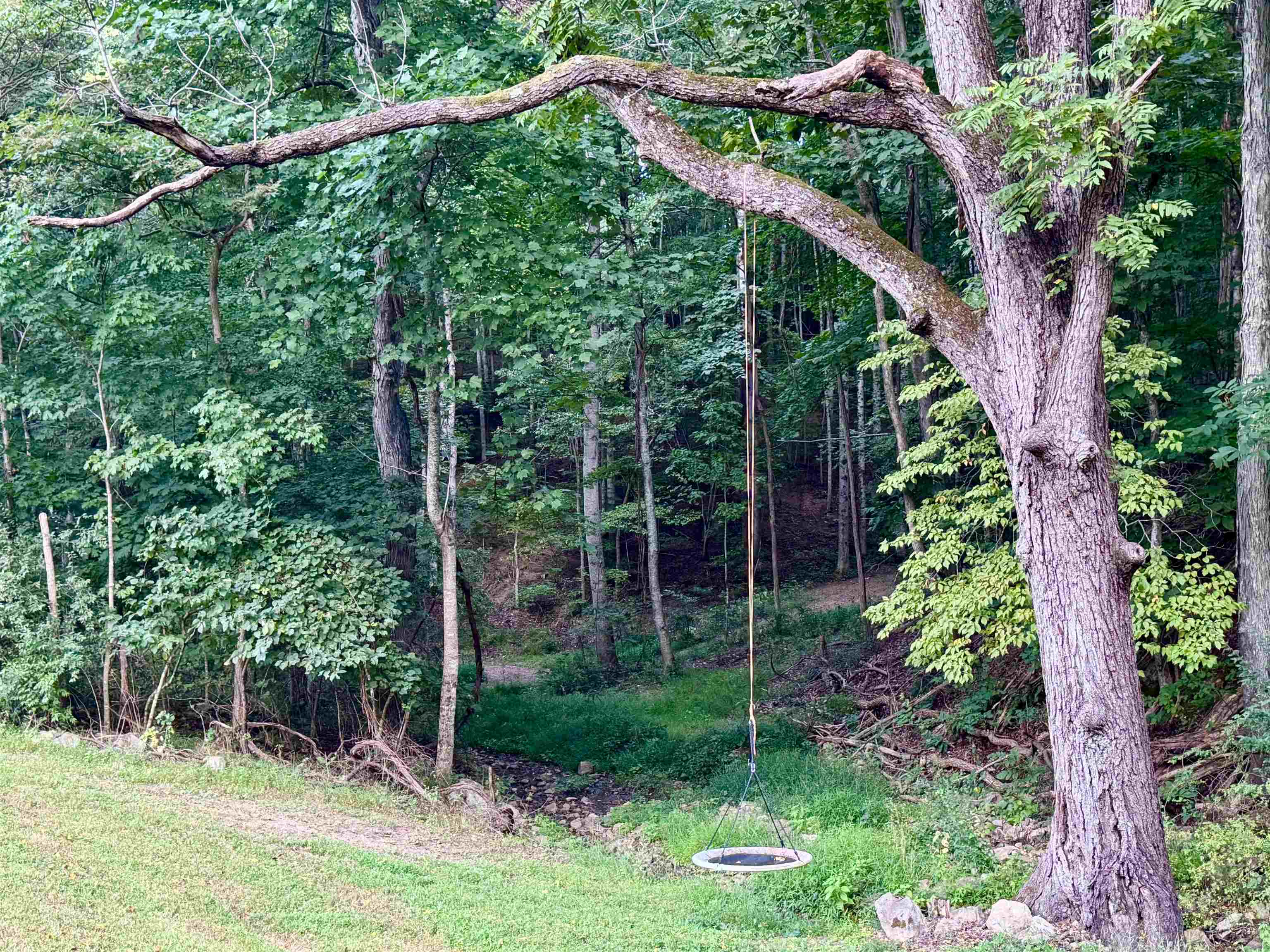 1025 WATERLOO DR, LEXINGTON, Virginia 24450, ,Farm,14,1025 WATERLOO DR,681422 MLS # 681422 1025 WATERLOO DR, LEXINGTON, Virginia 24450, ,Farm,14,1025 WATERLOO DR,681422 MLS # 681422