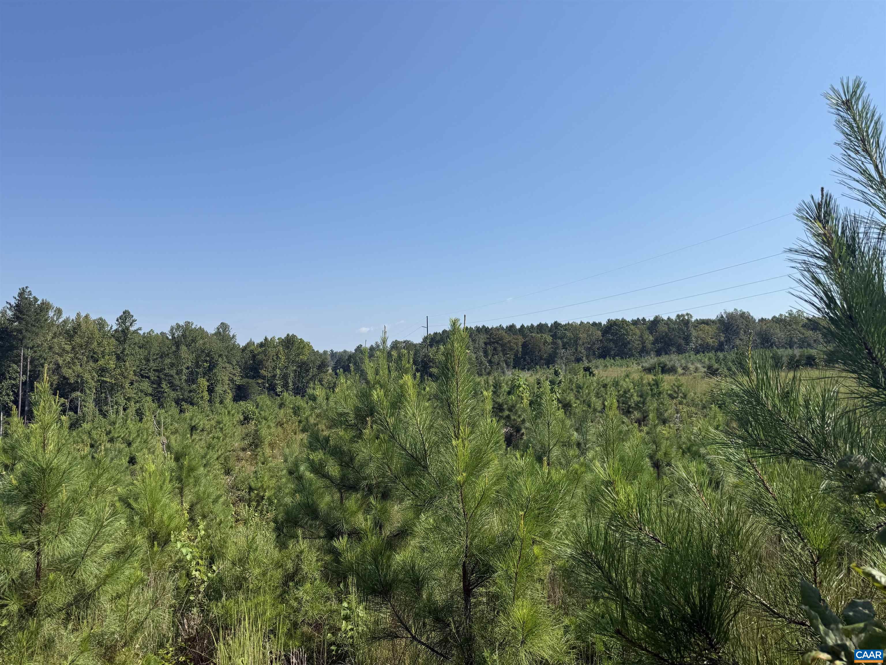 6 COMMUNITY HOUSE RD, KENTS STORE, Virginia 23084, ,Land,14,6 COMMUNITY HOUSE RD,681960 MLS # 681960