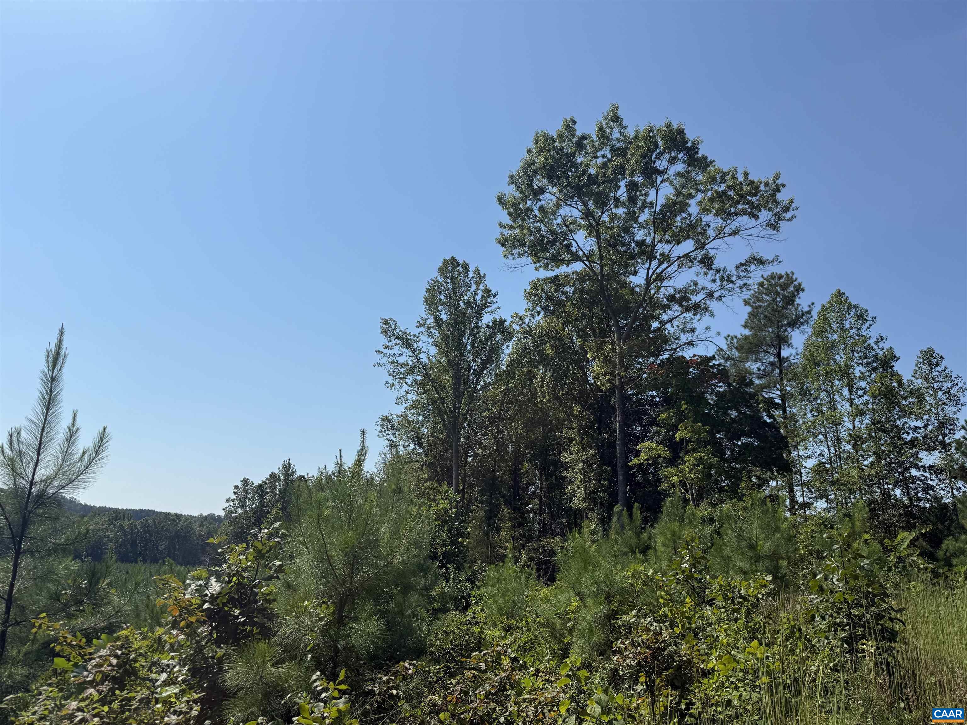 6 COMMUNITY HOUSE RD, KENTS STORE, Virginia 23084, ,Land,14,6 COMMUNITY HOUSE RD,681960 MLS # 681960
