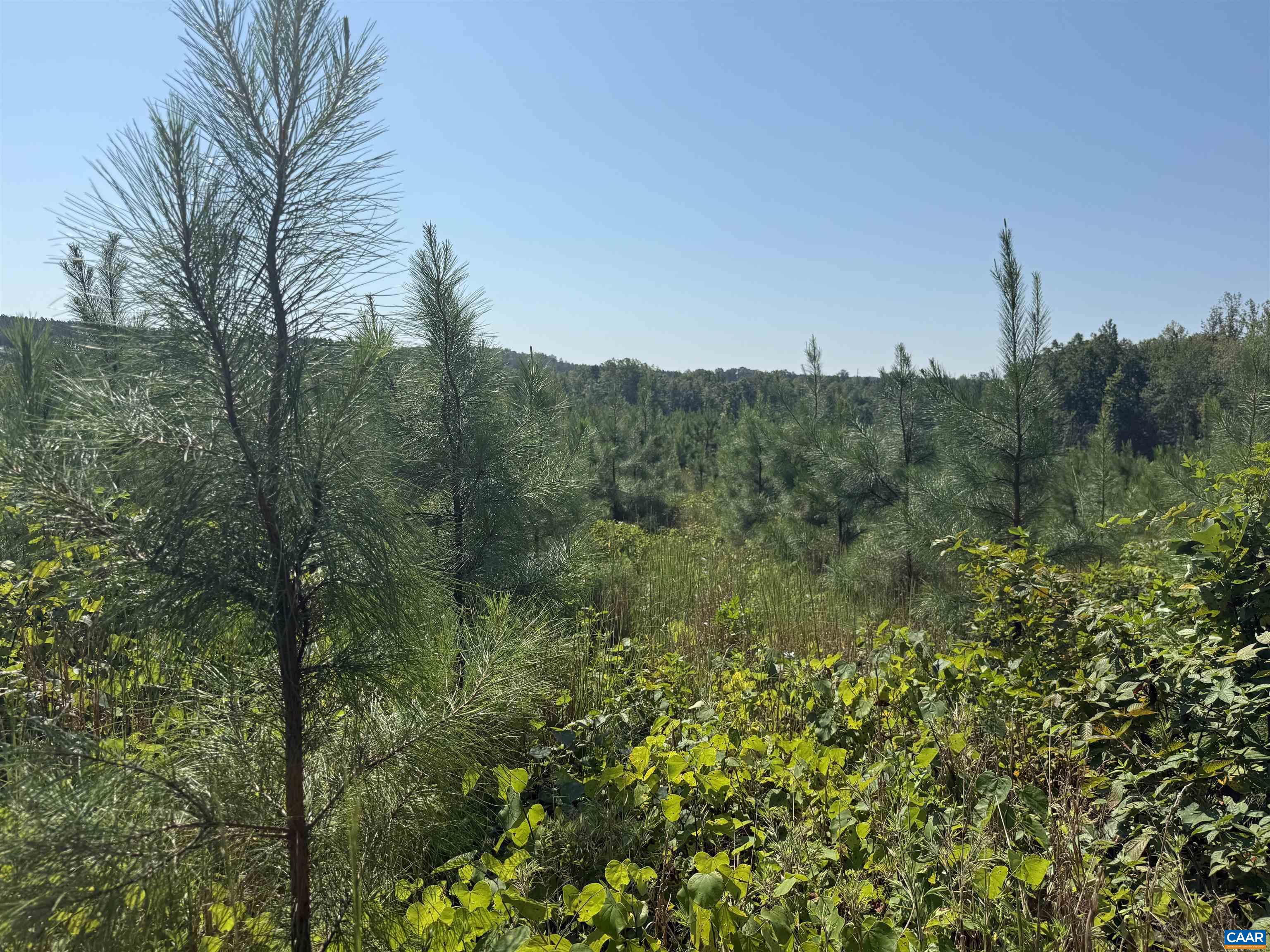 6 COMMUNITY HOUSE RD, KENTS STORE, Virginia 23084, ,Land,14,6 COMMUNITY HOUSE RD,681960 MLS # 681960
