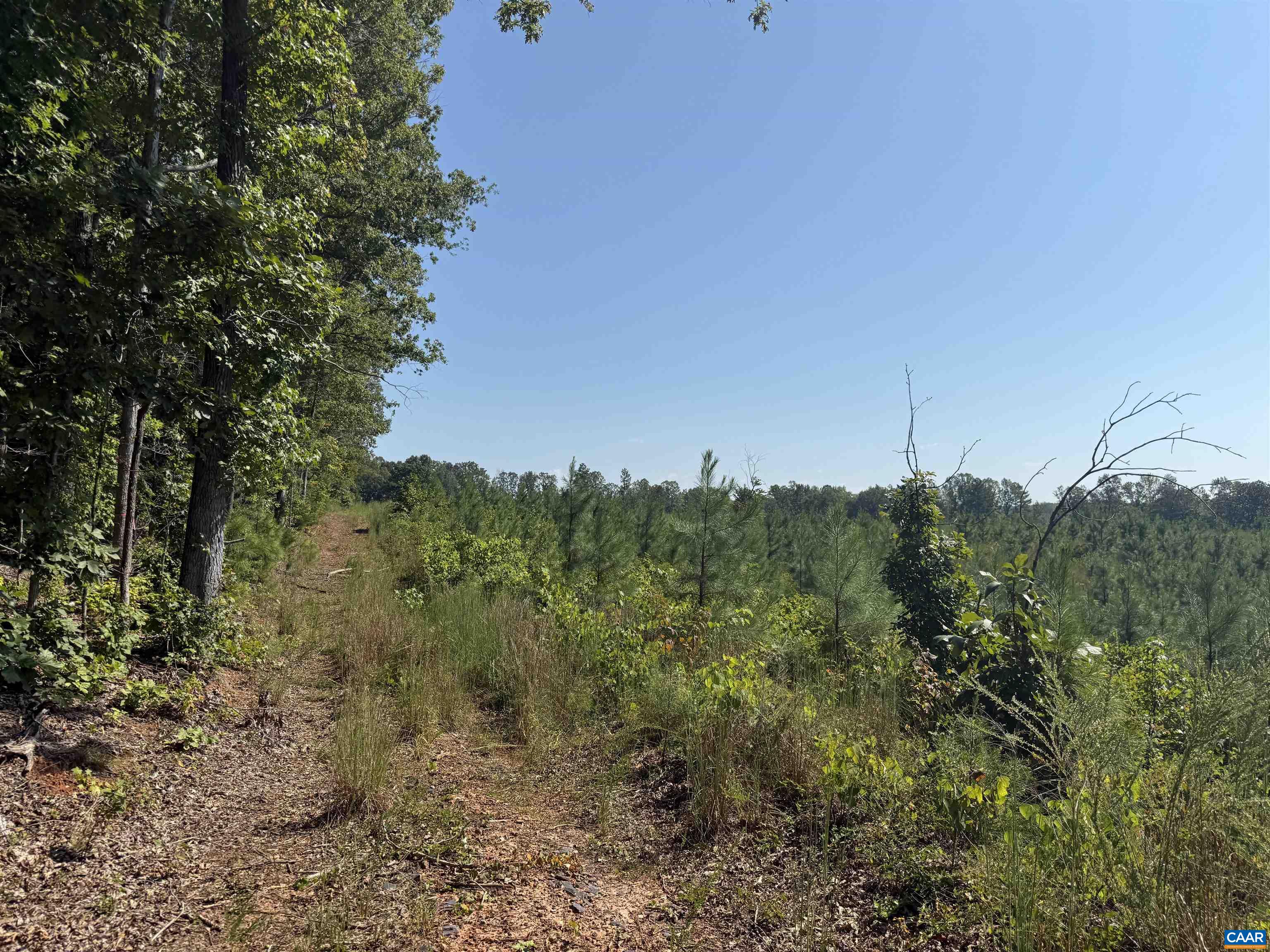 6 COMMUNITY HOUSE RD, KENTS STORE, Virginia 23084, ,Land,14,6 COMMUNITY HOUSE RD,681960 MLS # 681960