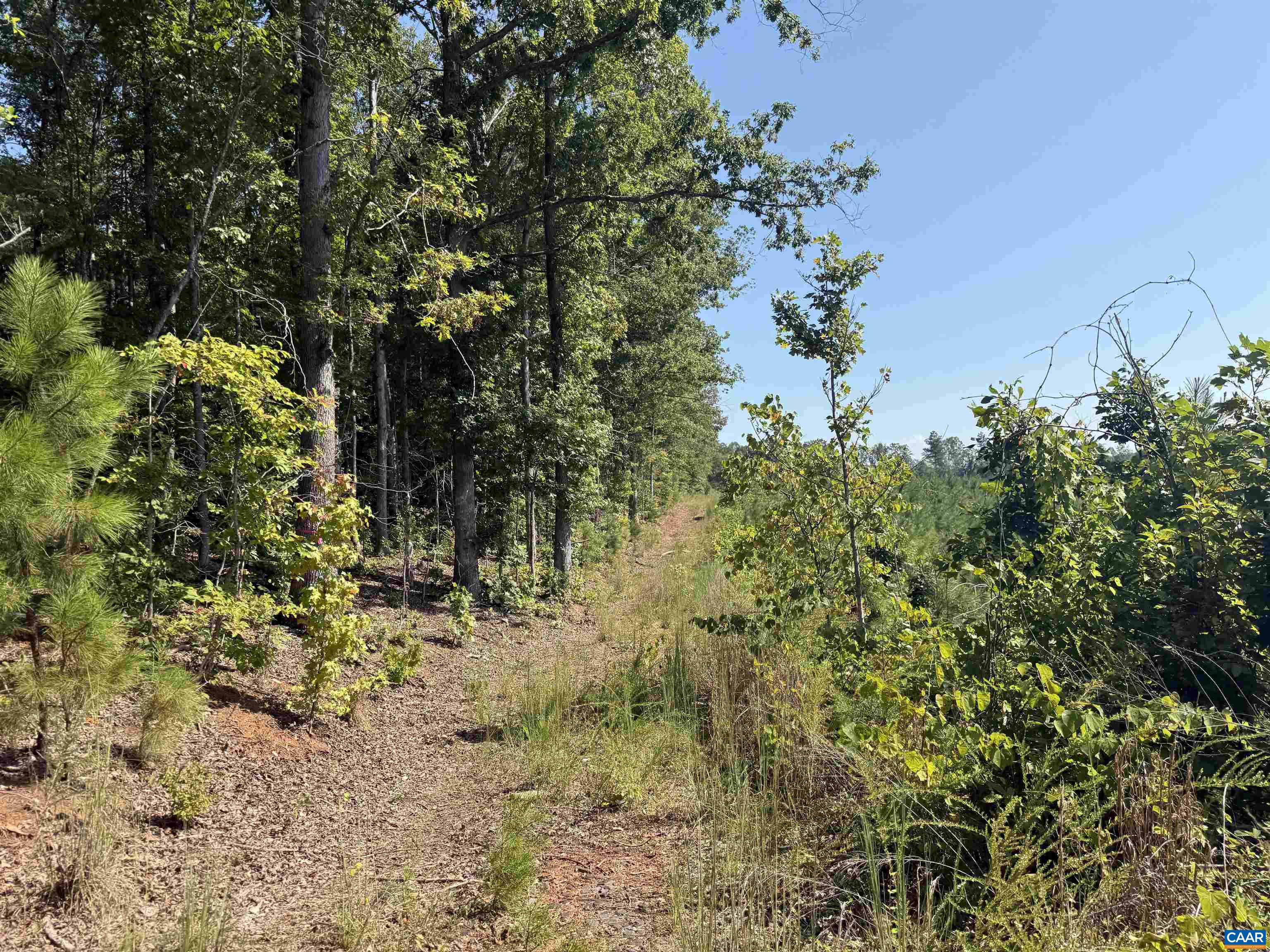 6 COMMUNITY HOUSE RD, KENTS STORE, Virginia 23084, ,Land,14,6 COMMUNITY HOUSE RD,681960 MLS # 681960