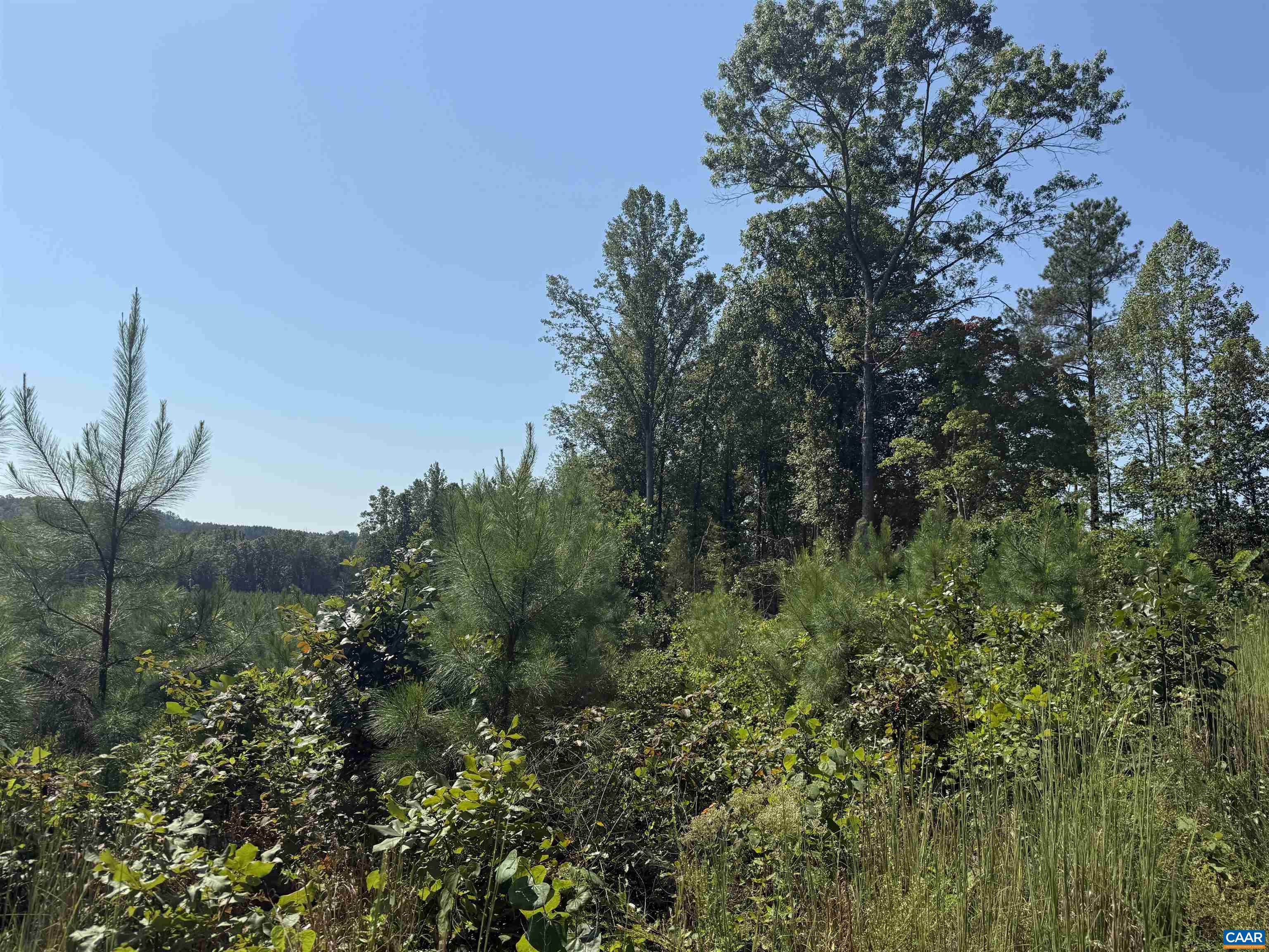 6 COMMUNITY HOUSE RD, KENTS STORE, Virginia 23084, ,Land,14,6 COMMUNITY HOUSE RD,681960 MLS # 681960