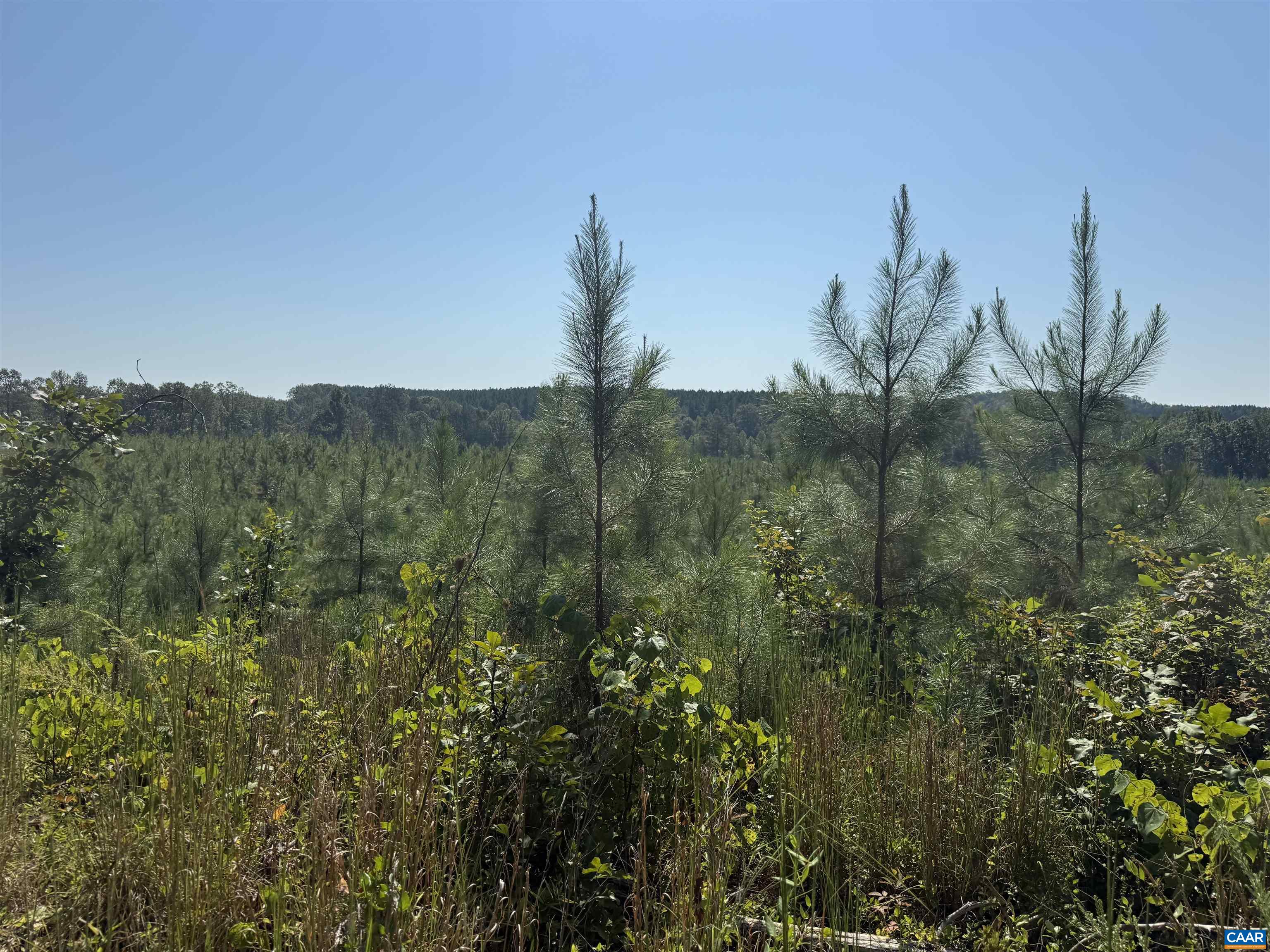 6 COMMUNITY HOUSE RD, KENTS STORE, Virginia 23084, ,Land,14,6 COMMUNITY HOUSE RD,681960 MLS # 681960