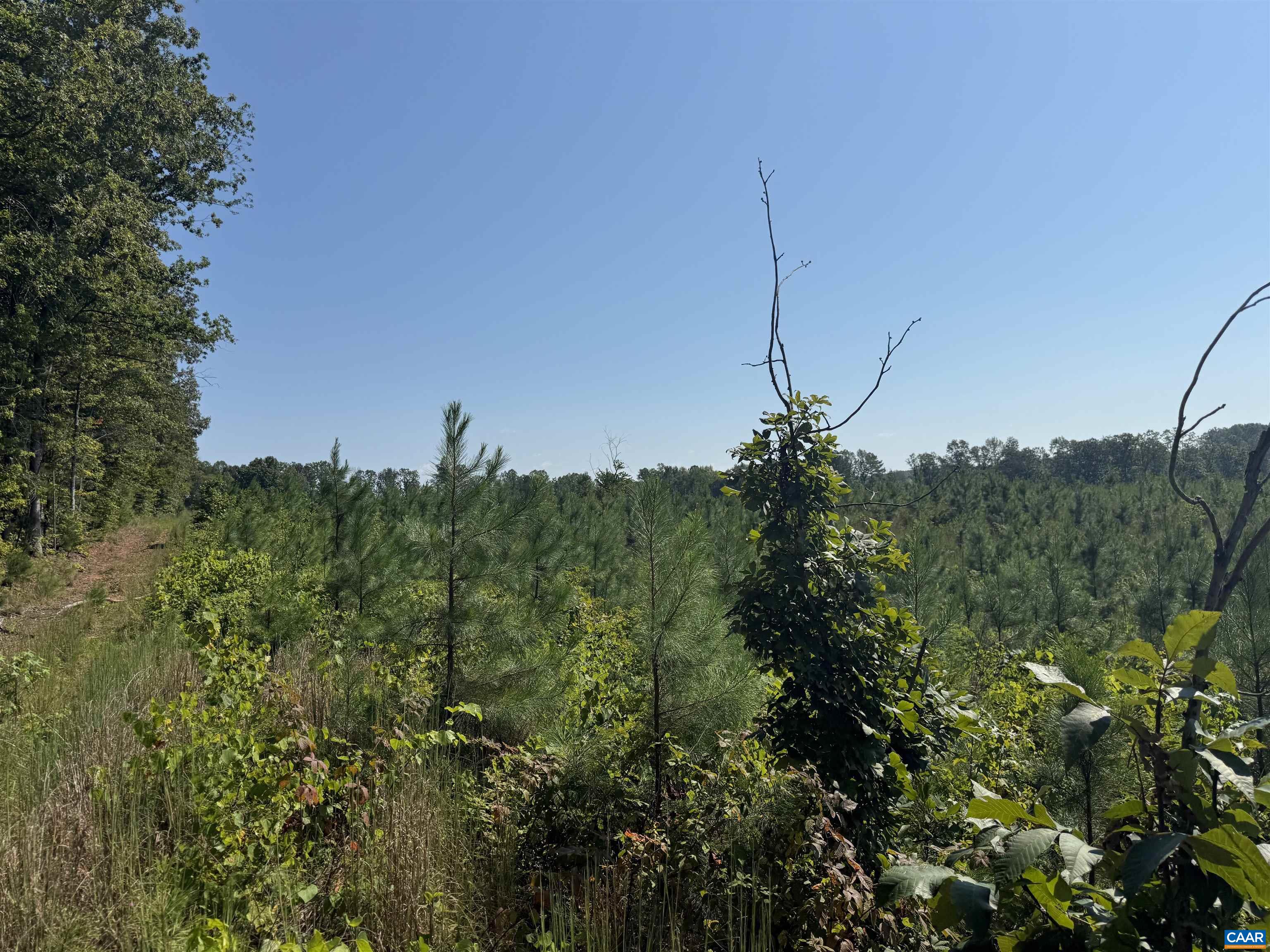 6 COMMUNITY HOUSE RD, KENTS STORE, Virginia 23084, ,Land,14,6 COMMUNITY HOUSE RD,681960 MLS # 681960