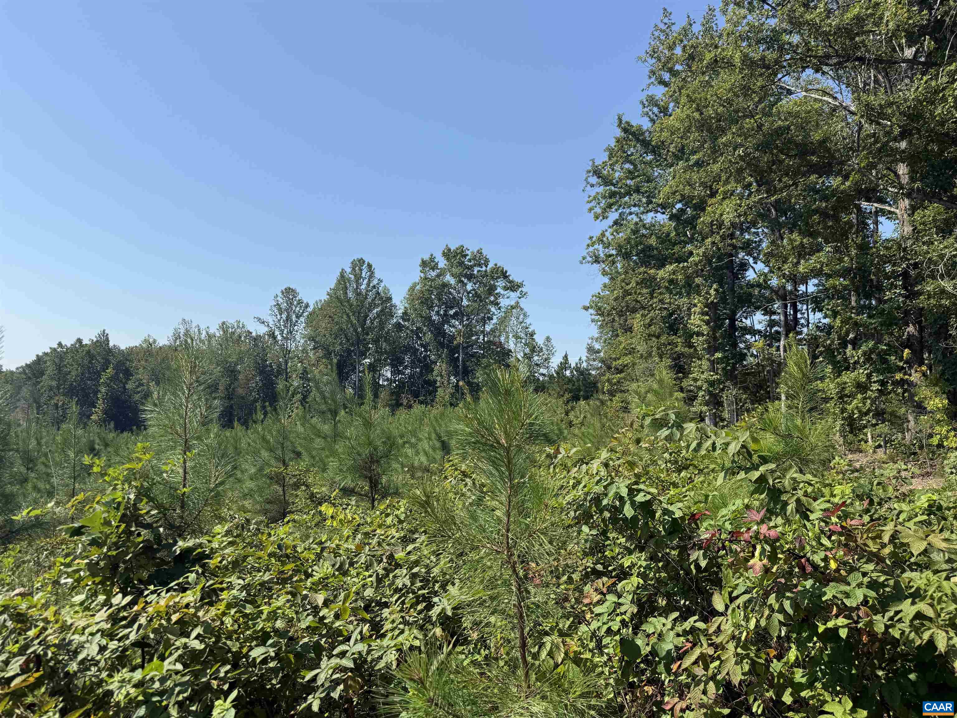 6 COMMUNITY HOUSE RD, KENTS STORE, Virginia 23084, ,Land,14,6 COMMUNITY HOUSE RD,681960 MLS # 681960