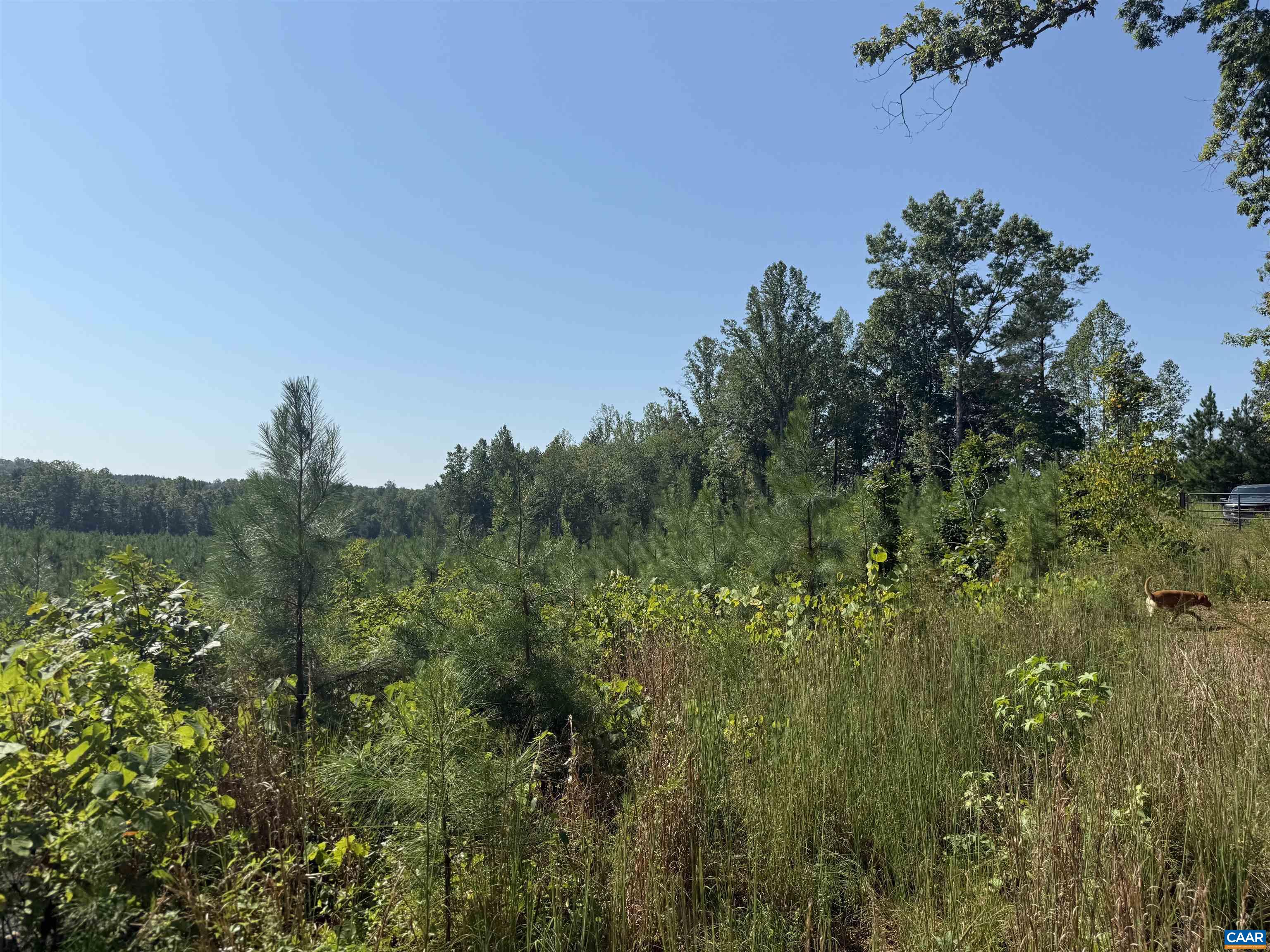 6 COMMUNITY HOUSE RD, KENTS STORE, Virginia 23084, ,Land,14,6 COMMUNITY HOUSE RD,681960 MLS # 681960