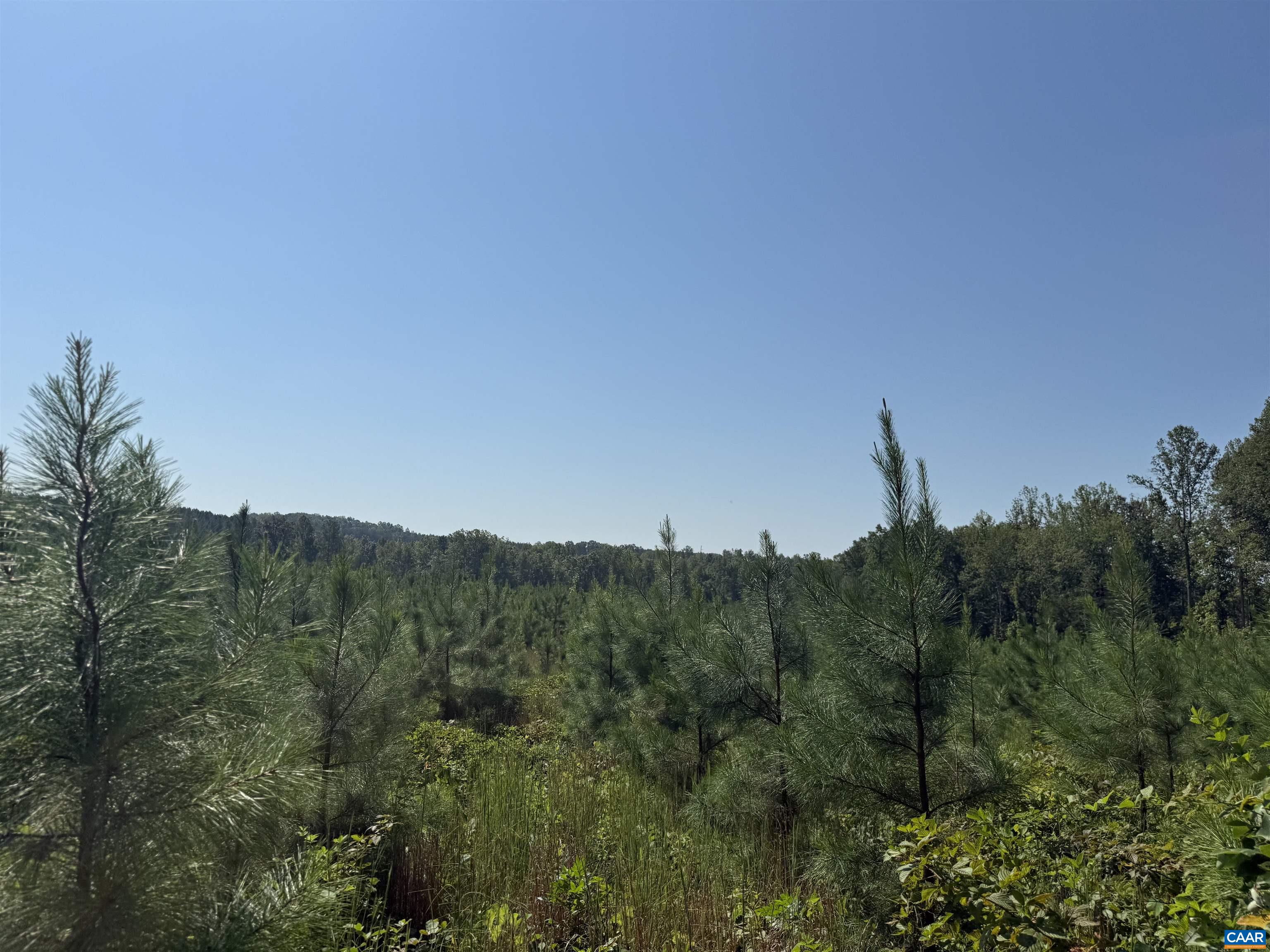 6 COMMUNITY HOUSE RD, KENTS STORE, Virginia 23084, ,Land,14,6 COMMUNITY HOUSE RD,681960 MLS # 681960